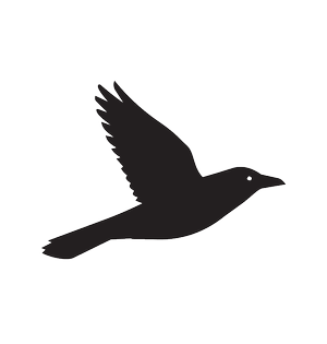 Smartbird | Built for AI, Managed for You.