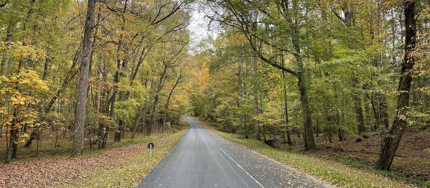 Follaje de otoño en un camino del Petersburg National Battlefield, VA