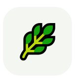 Green leaf icon with a simple, stylized design on a light background.