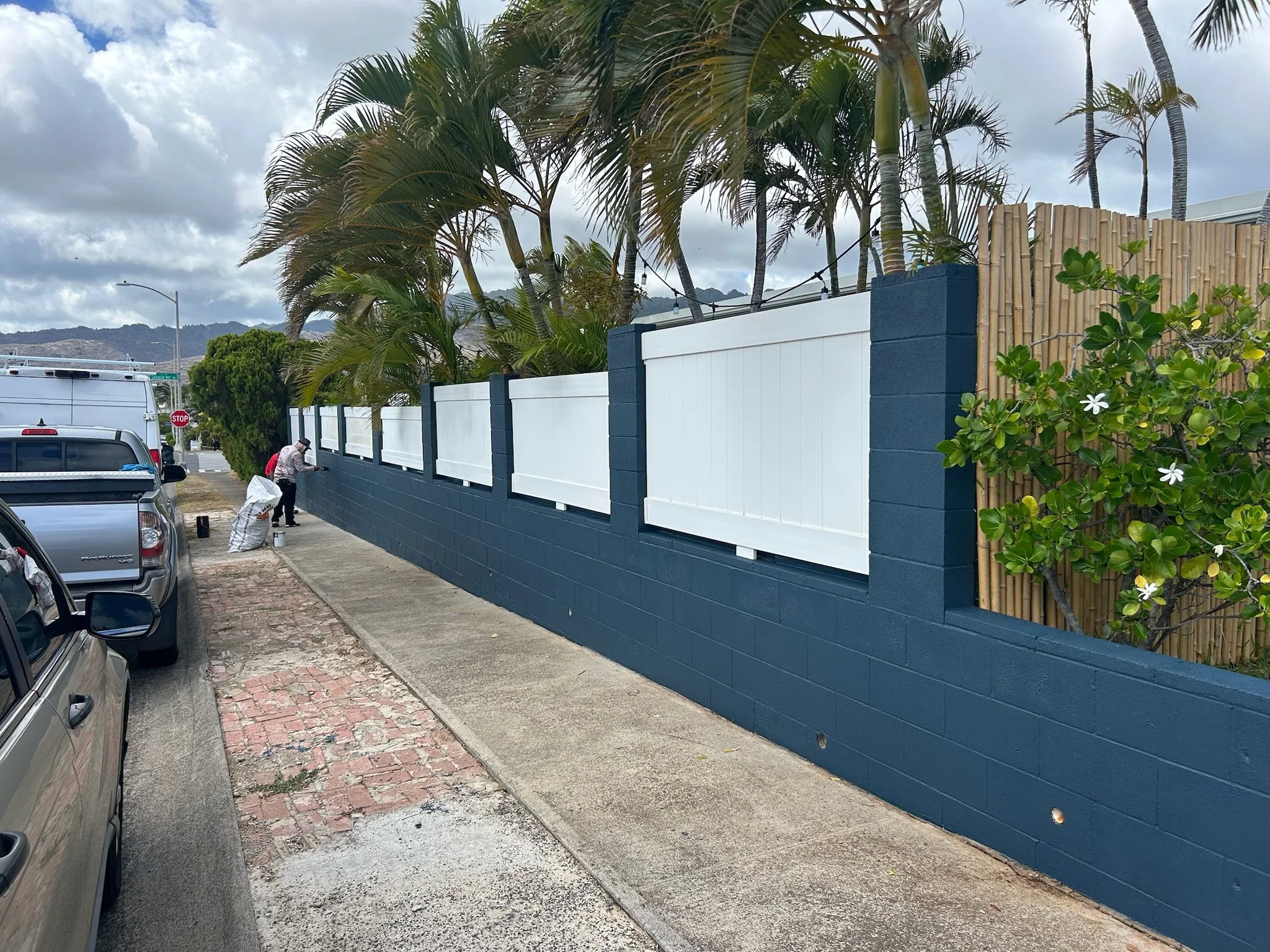 A street scene with parked cars, a person painting a wall, and a row of tall palm trees behind a blue and white fence. Overcast sky with clouds and a mountain range in the background.