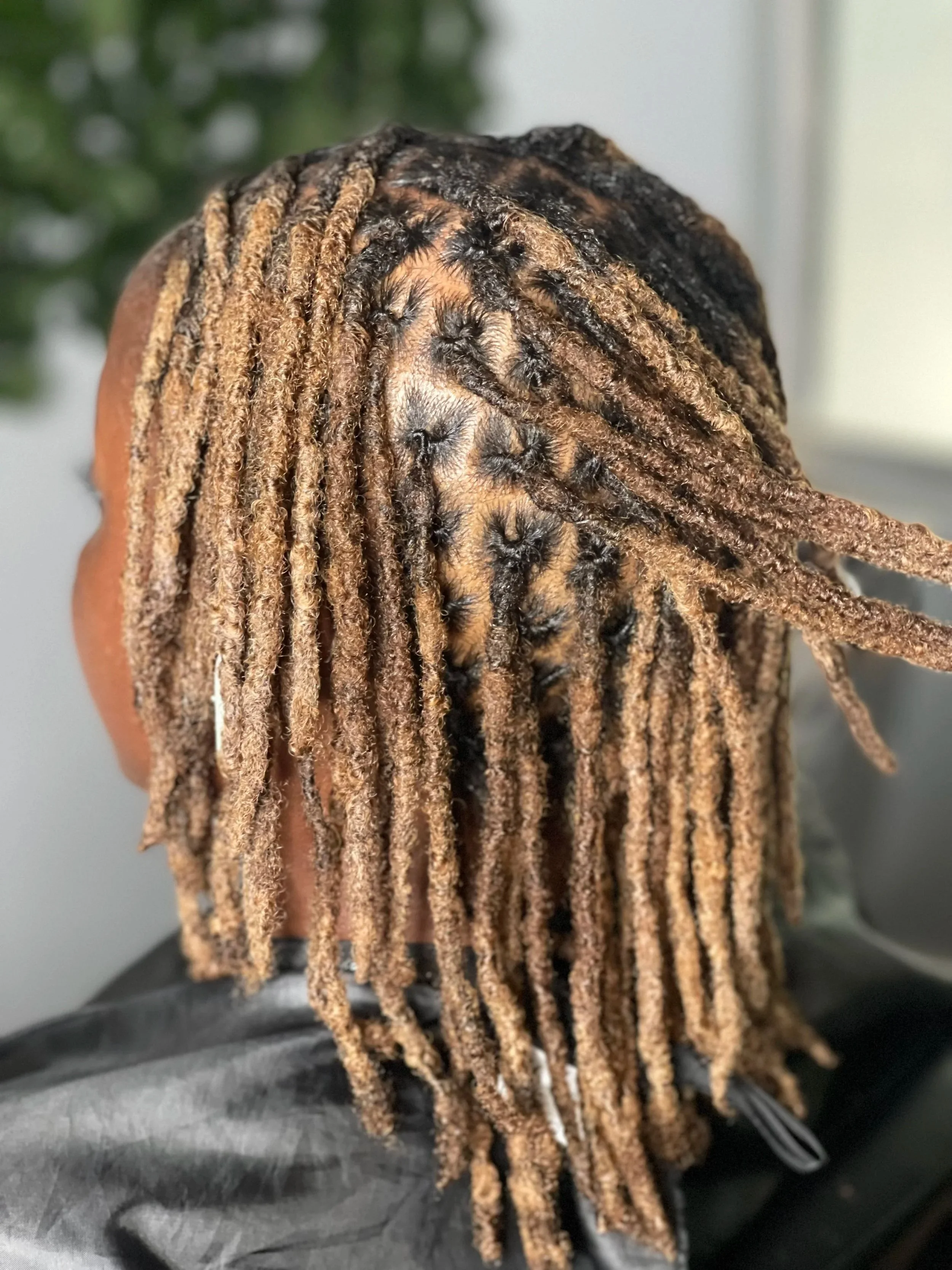 Close-up of a person with brown skin and blondish-brown dreadlocks, with some black dreadlocks visible, sitting on a black surface with a blurry green plant background.