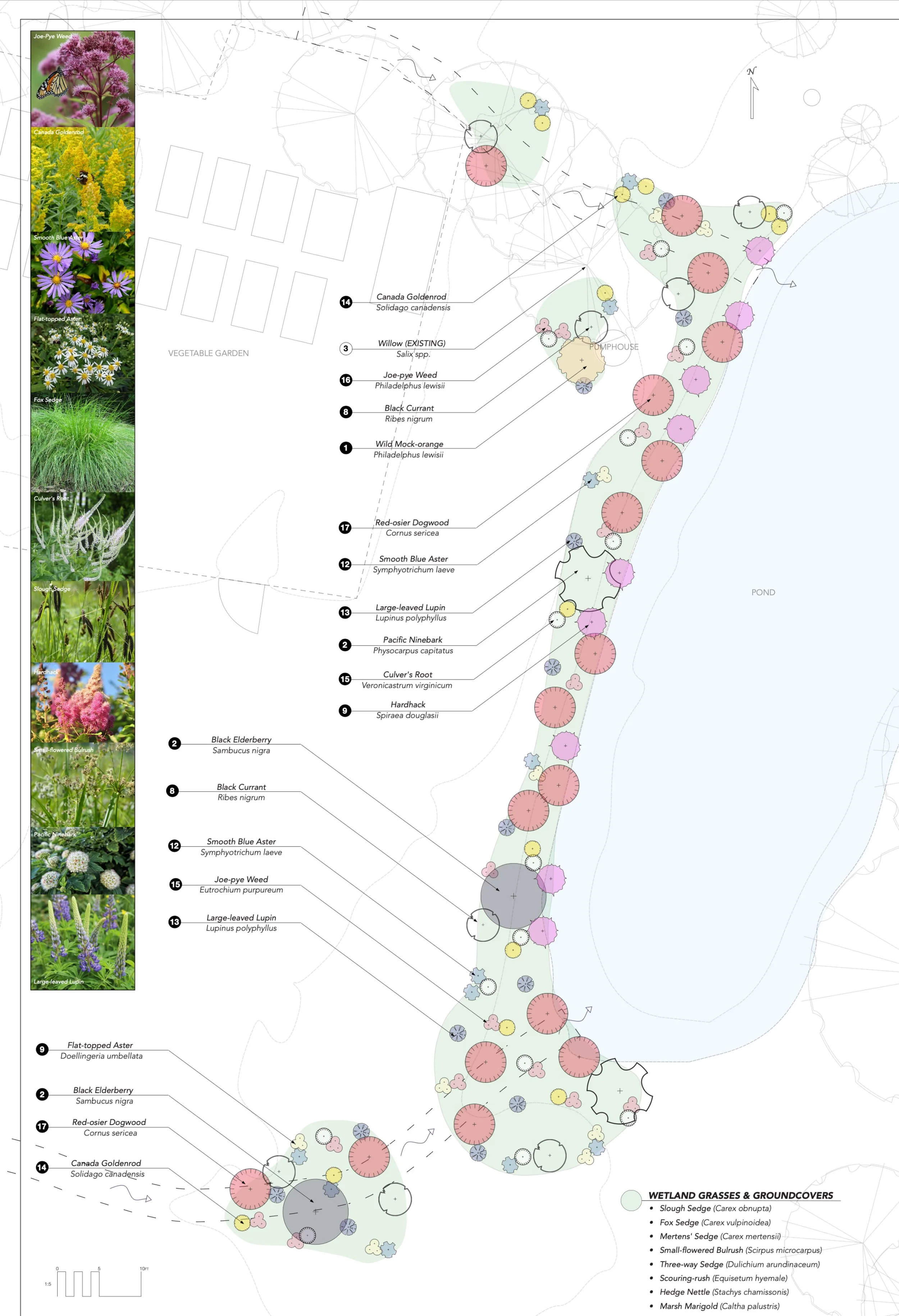 recreation_pond_plan.jpg