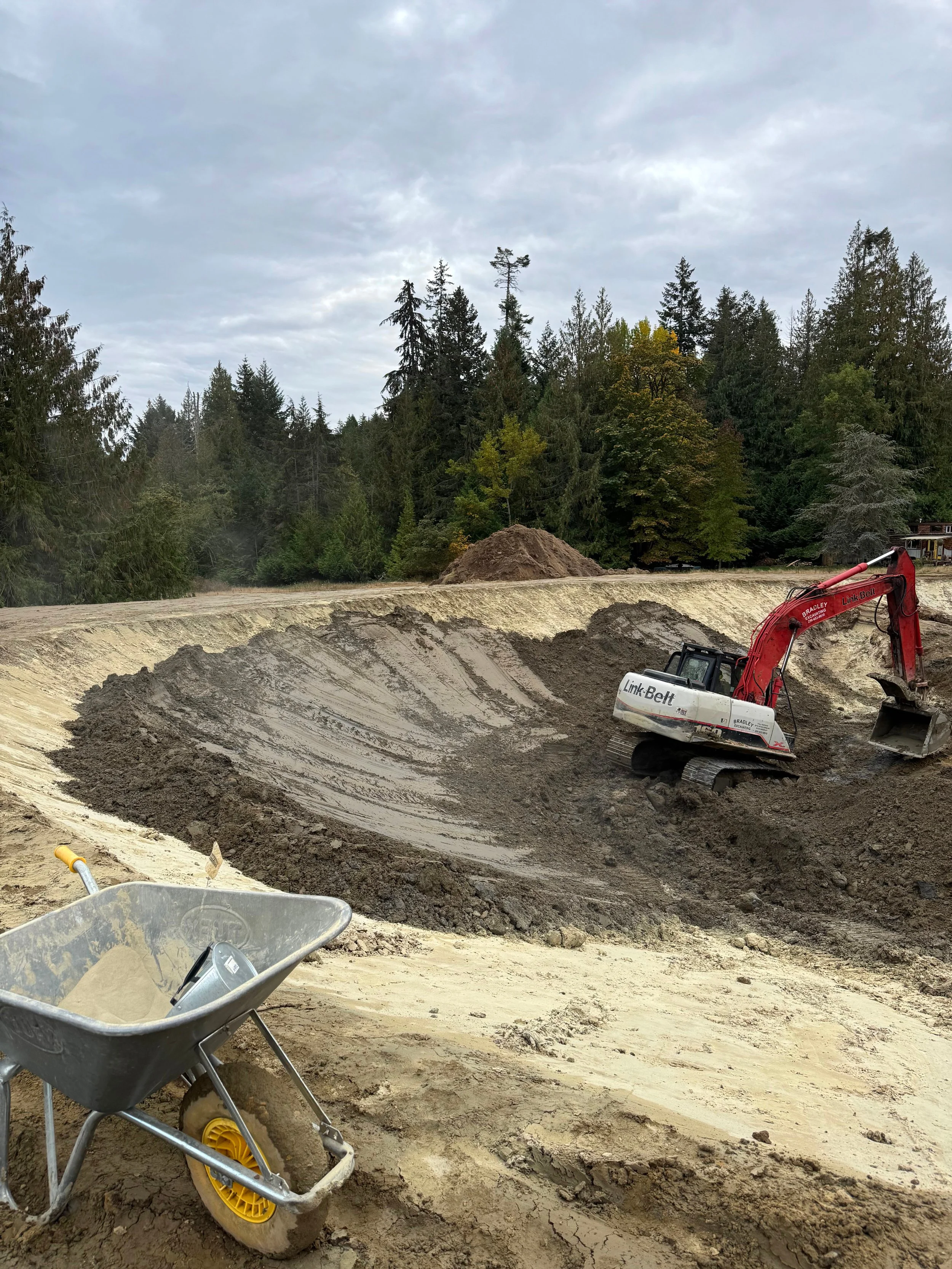 Construction site with an excavator and a wheelbarrow in front of a forested area under a cloudy sky.