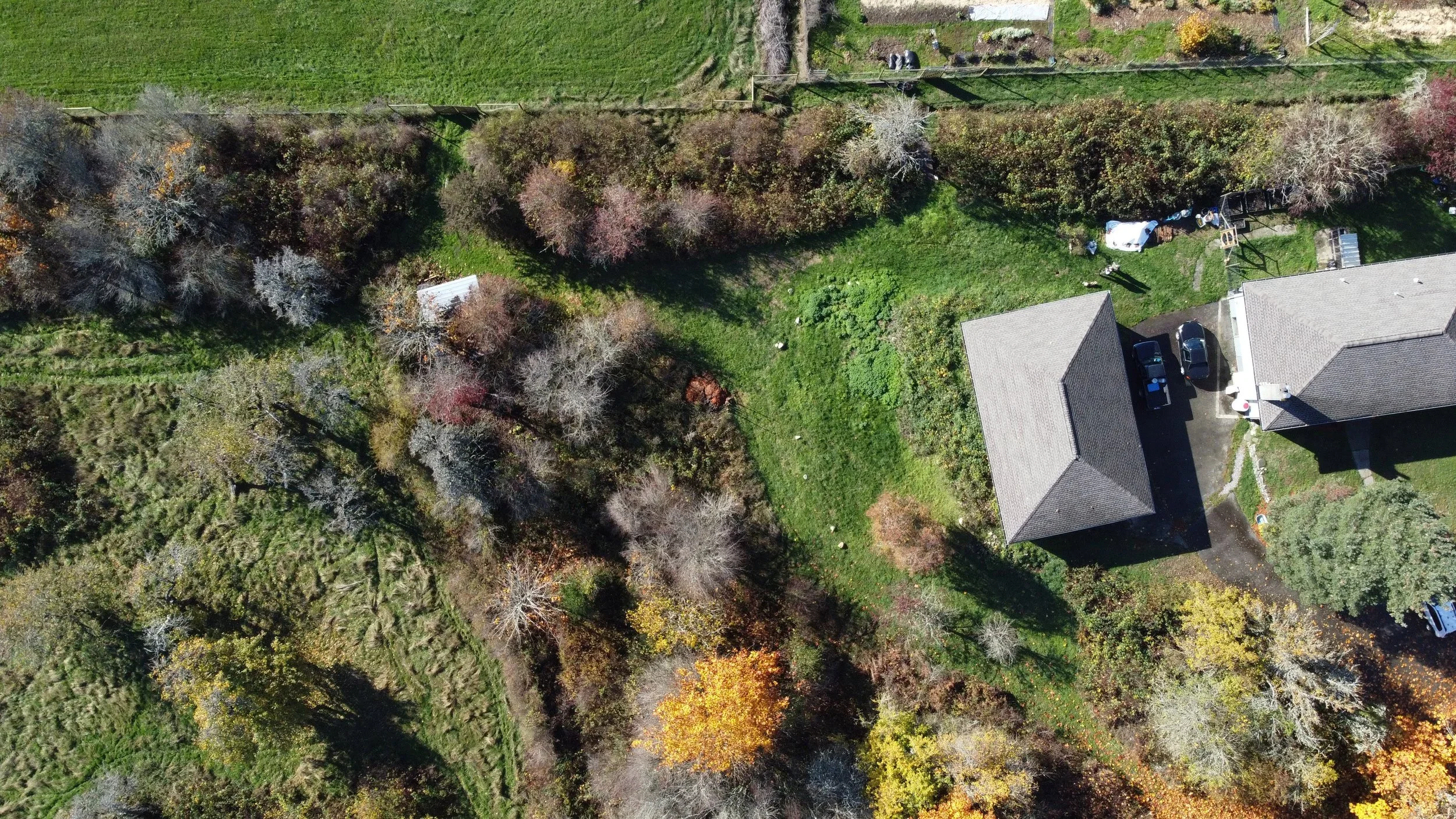 DJI_0244+copy.webp