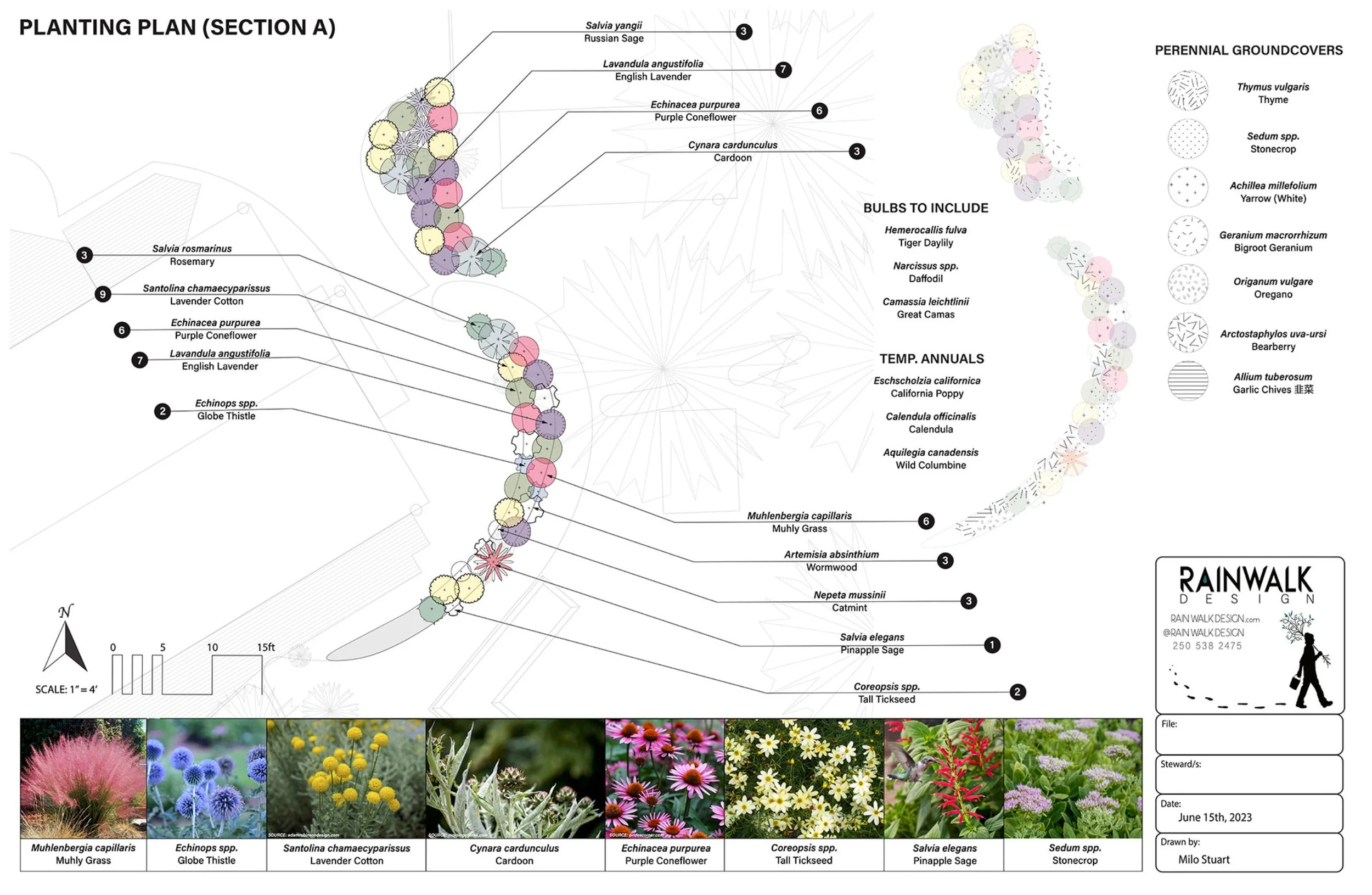 pollinator_garden_plan.jpg