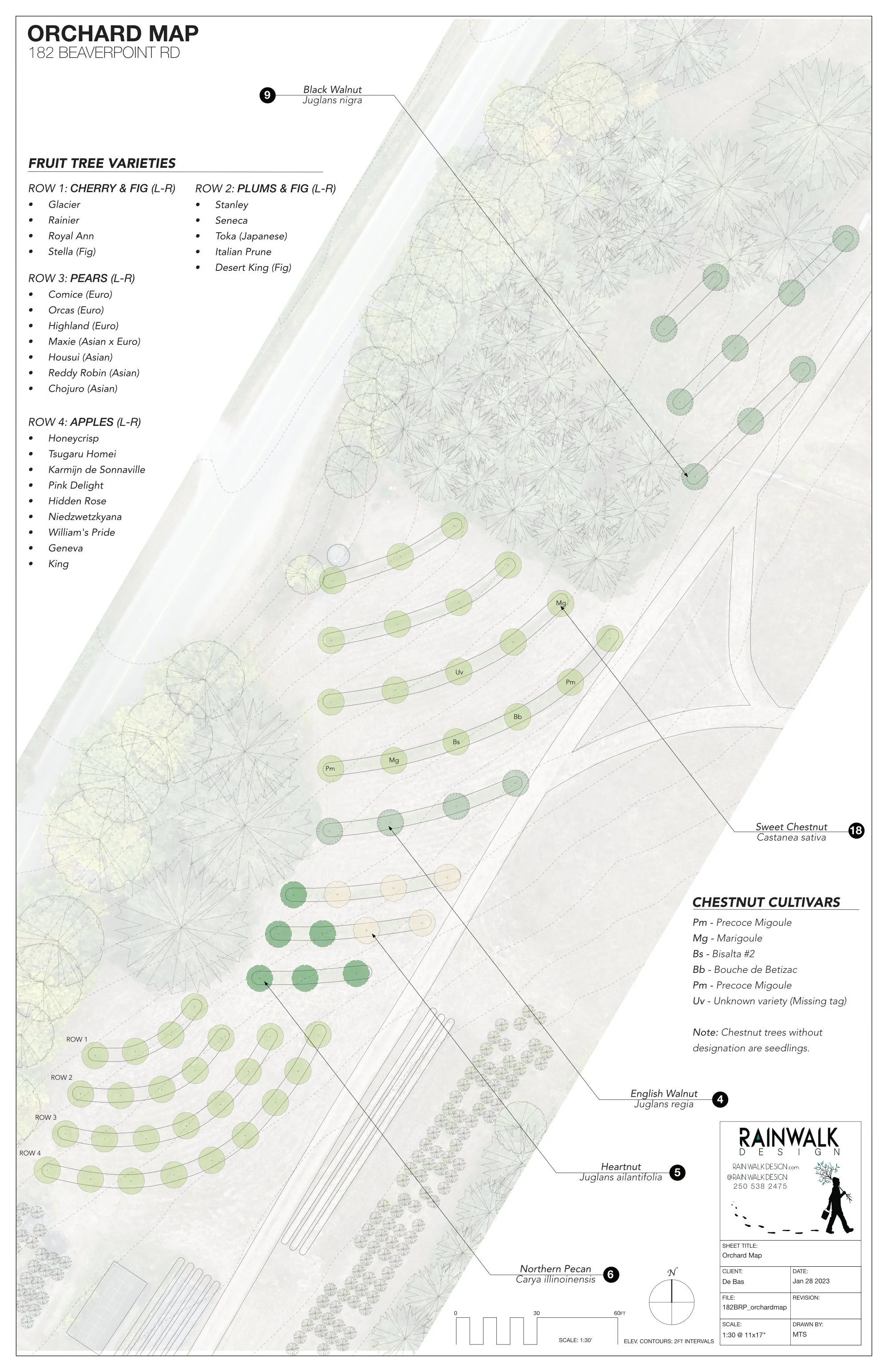 nut_orchard_plan.jpg