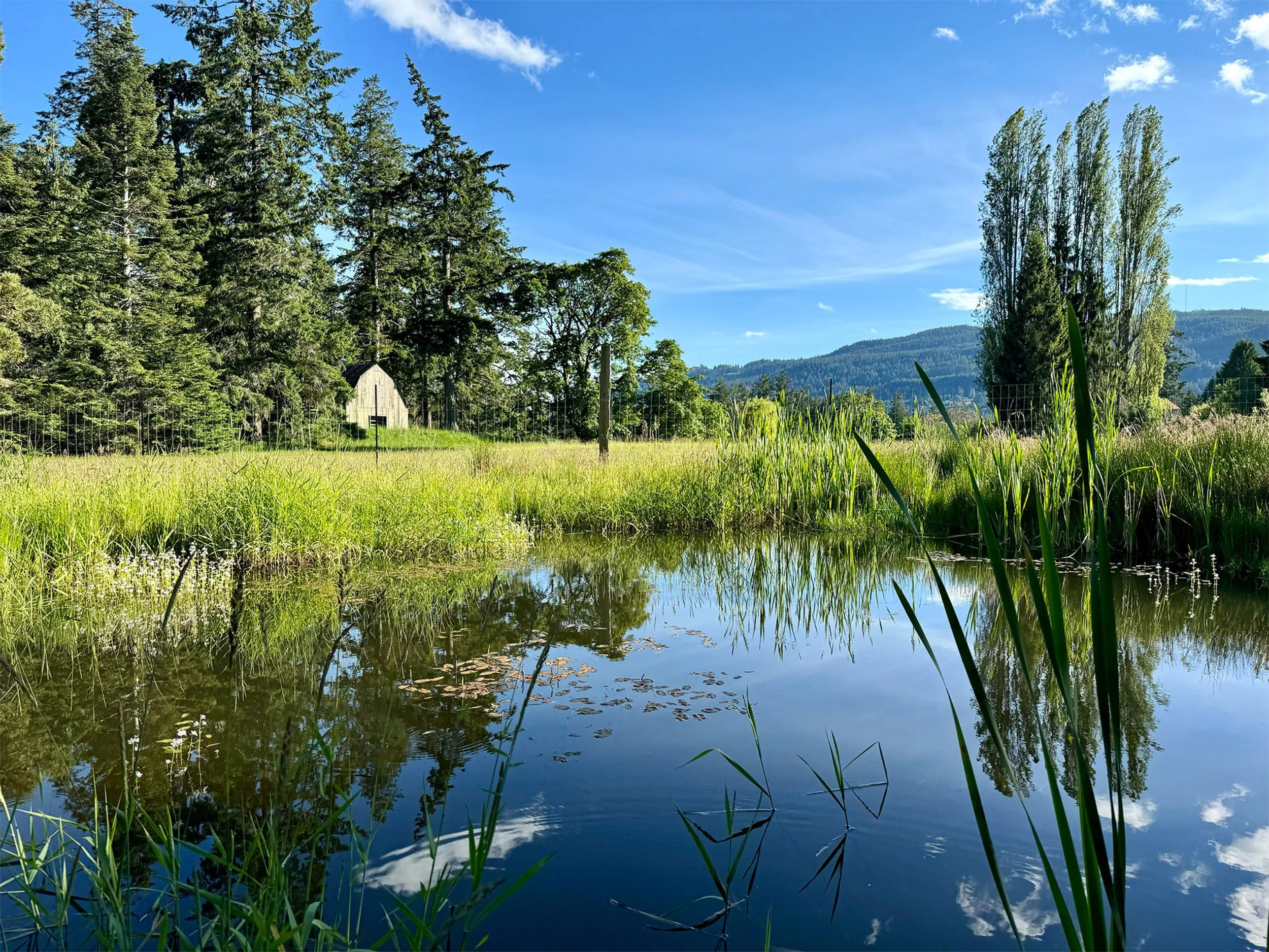 A peaceful landscape of a creek with calm water reflecting green grass, tall trees, and a blue sky with scattered clouds. In the background, there are hills or mountains.