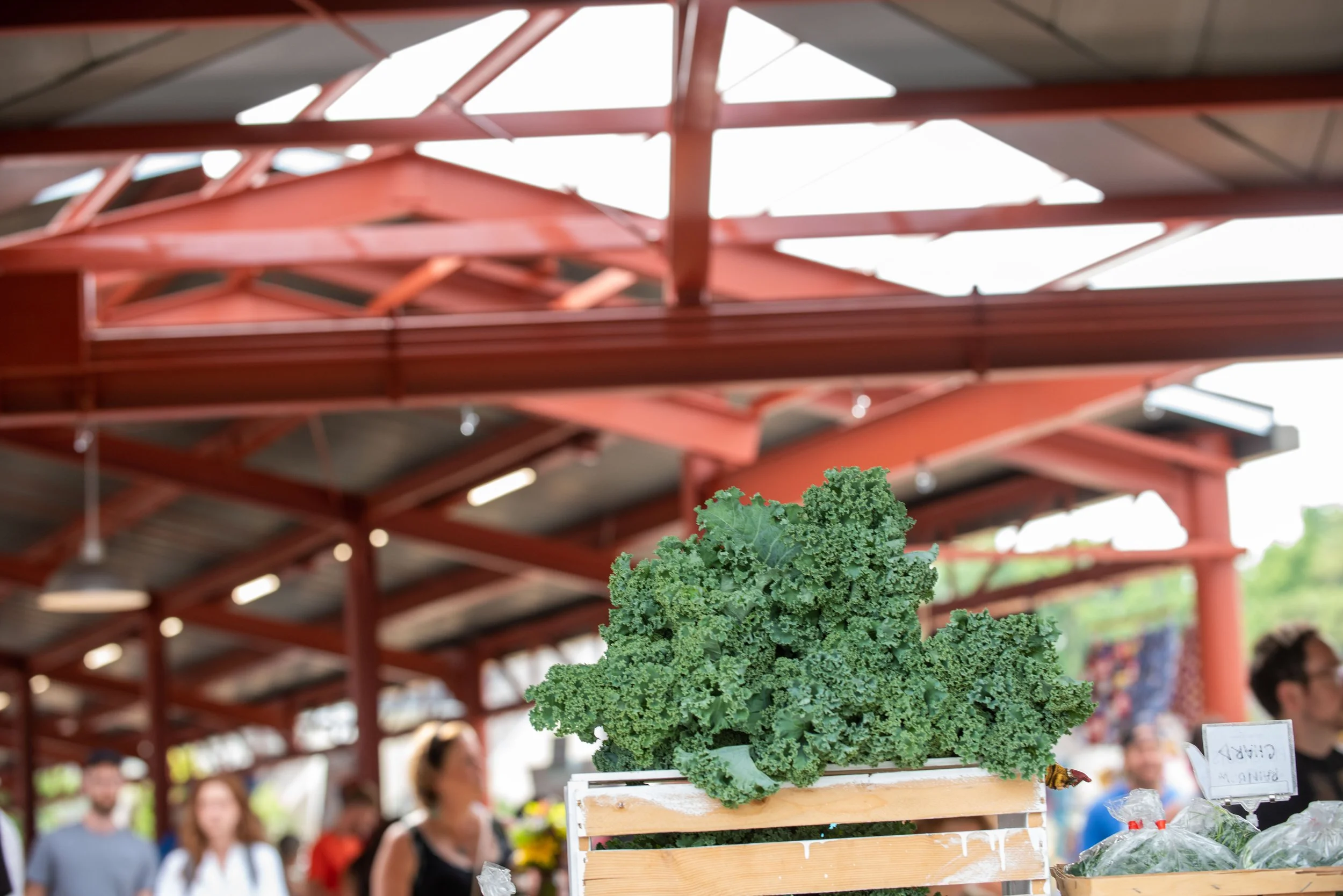Kale on display at an indoor market with people shopping in the background.
Kalamazoo Farmer's Market Reimagined.