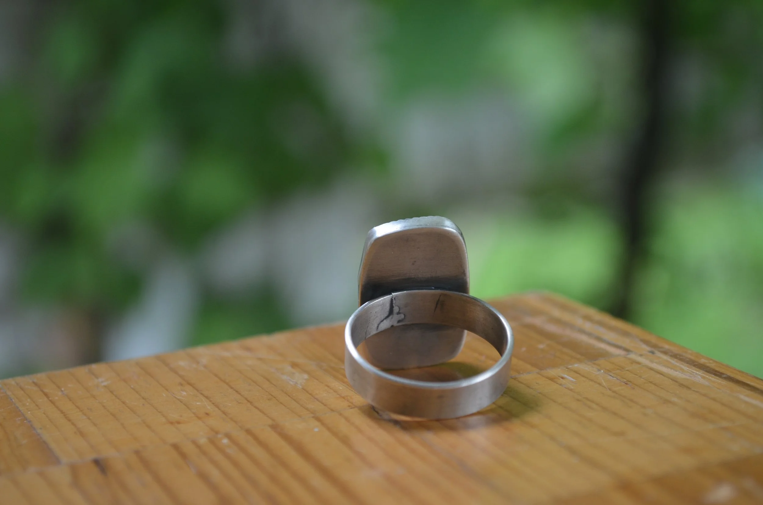 DSC_1473.JPG