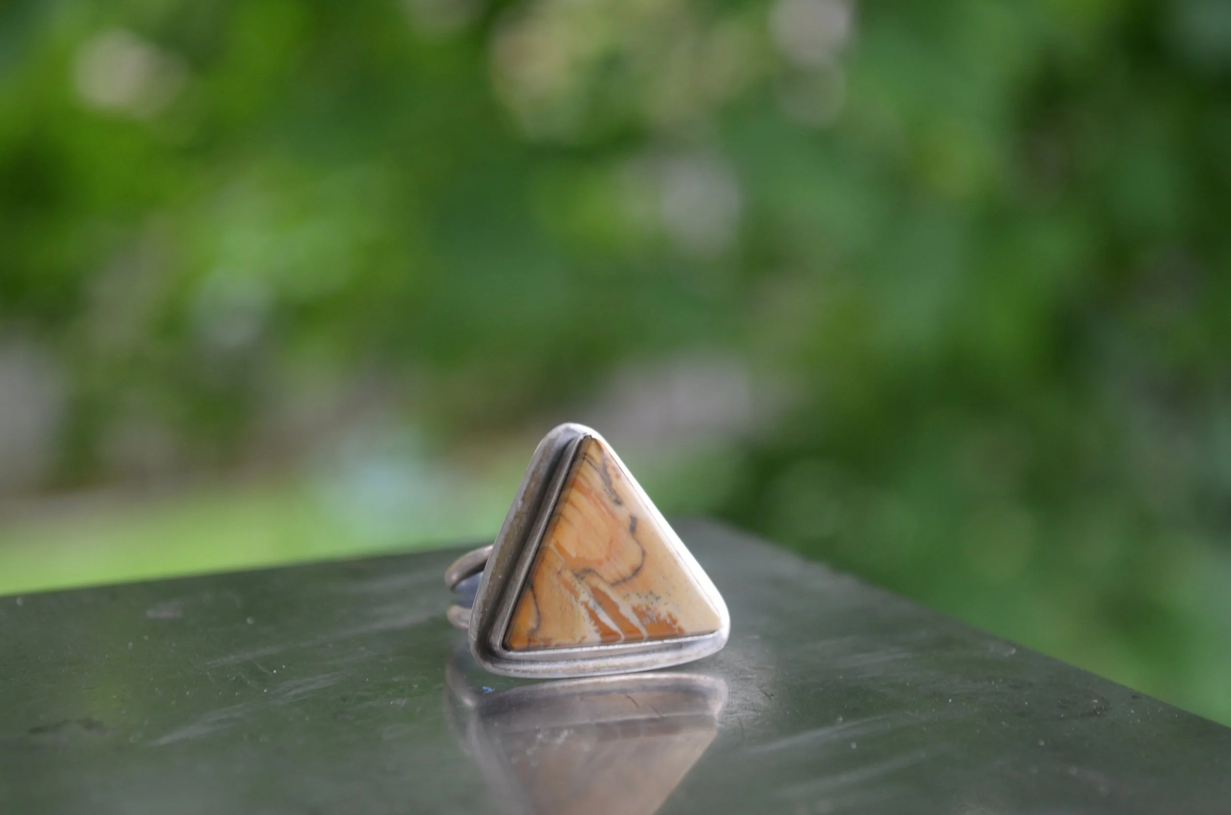 DSC_1542.JPG
