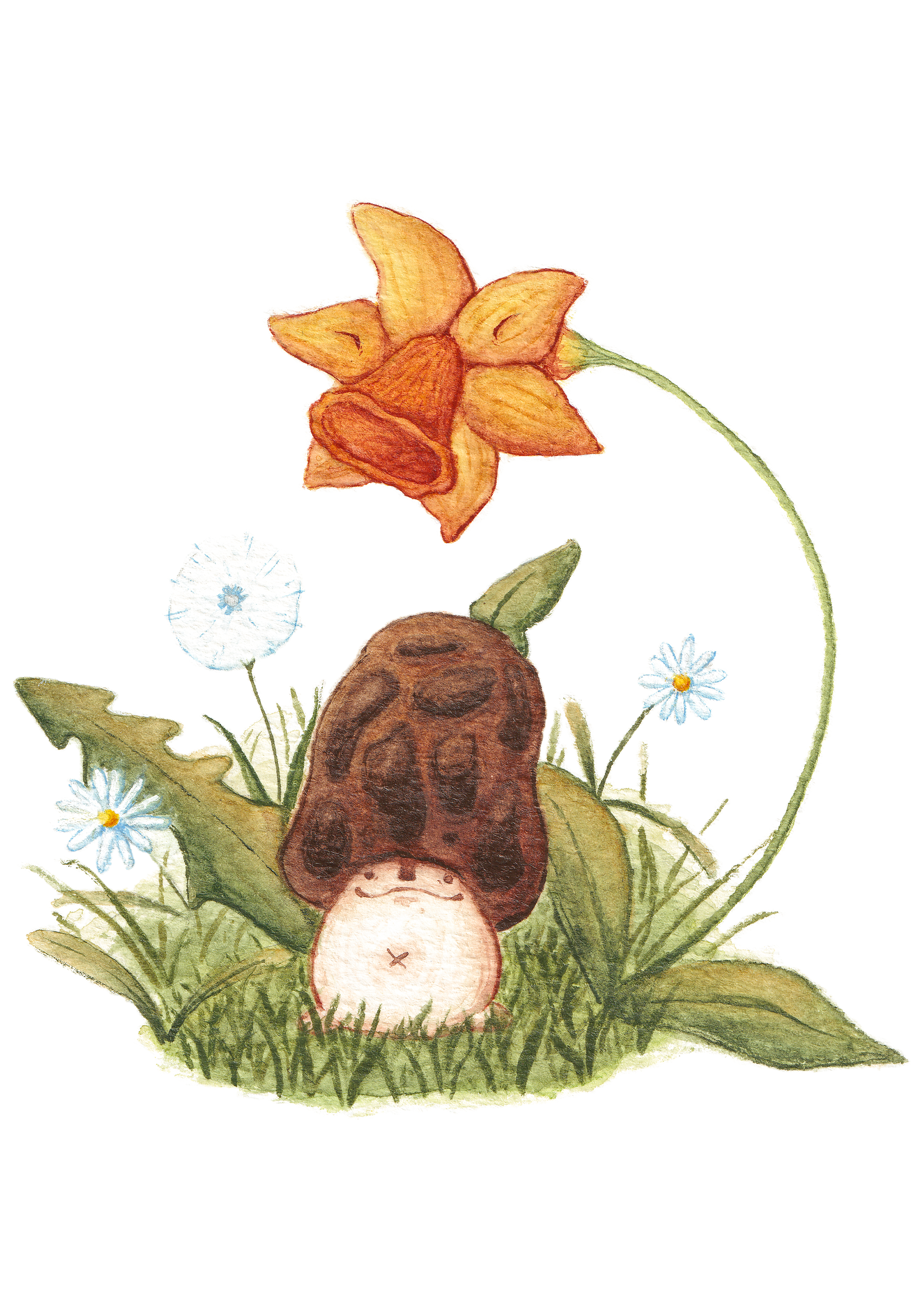 Morel.png