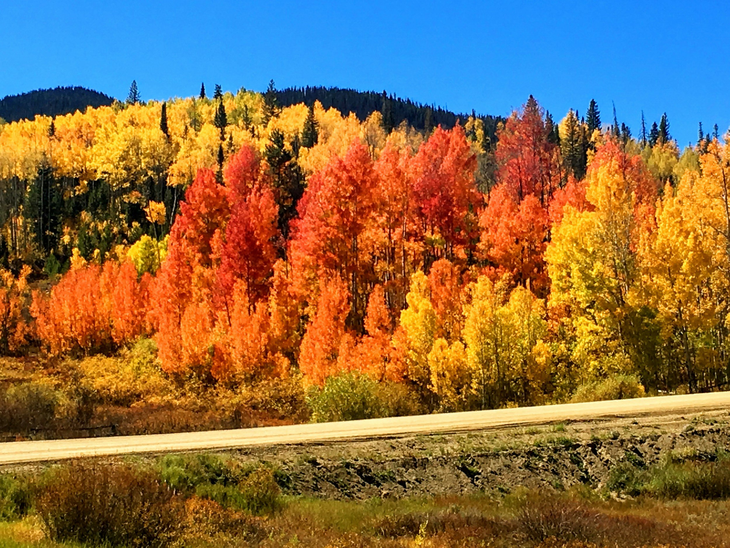 Fall Hikes to Enjoy the Aspens in Colorado