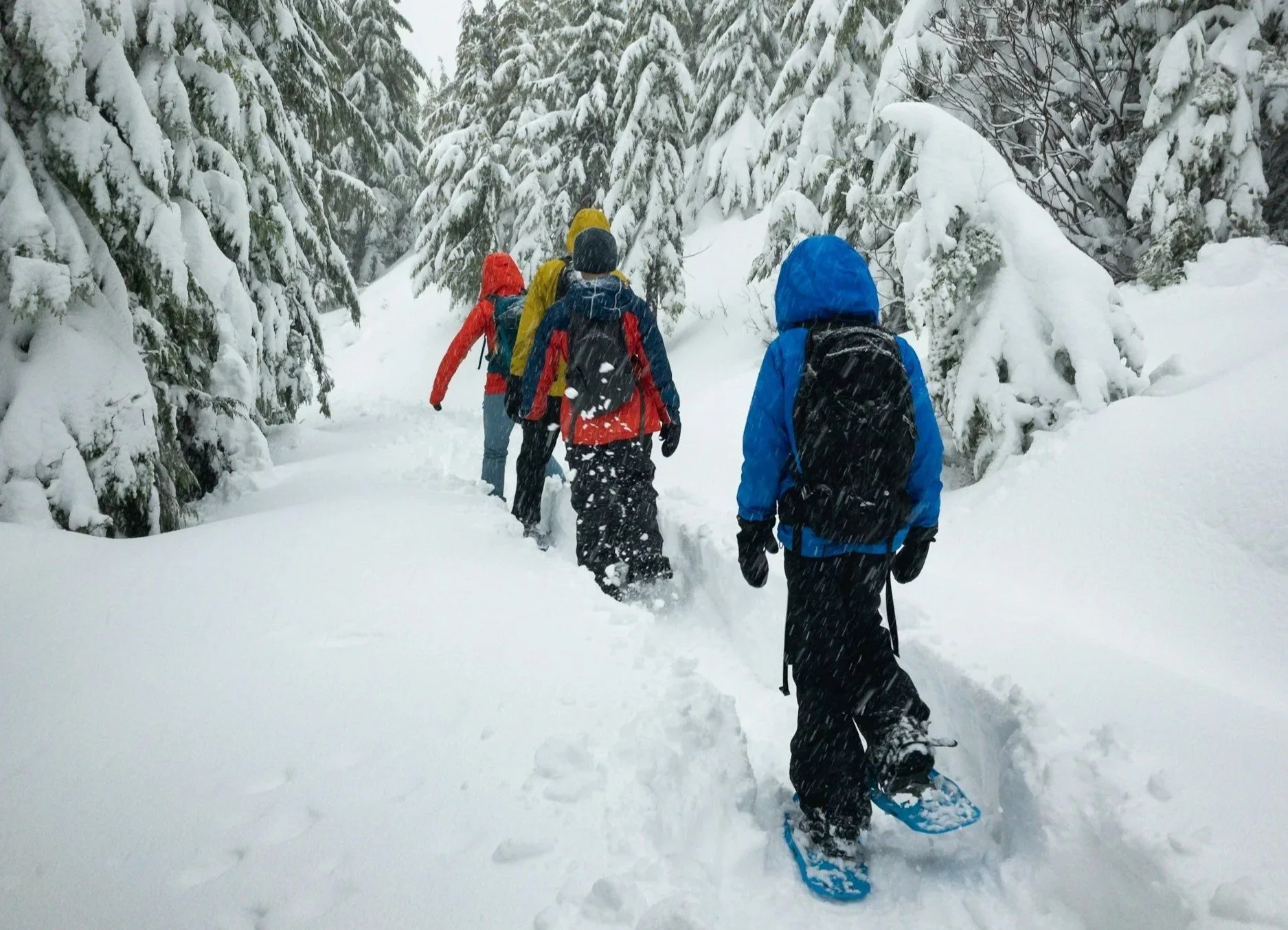 Tips for a Colorado Snowshoe and Cross-Country Ski Adventure
