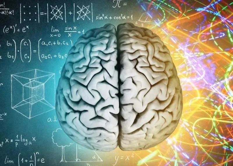 Ways to Maintain Your Brain Health as You Age