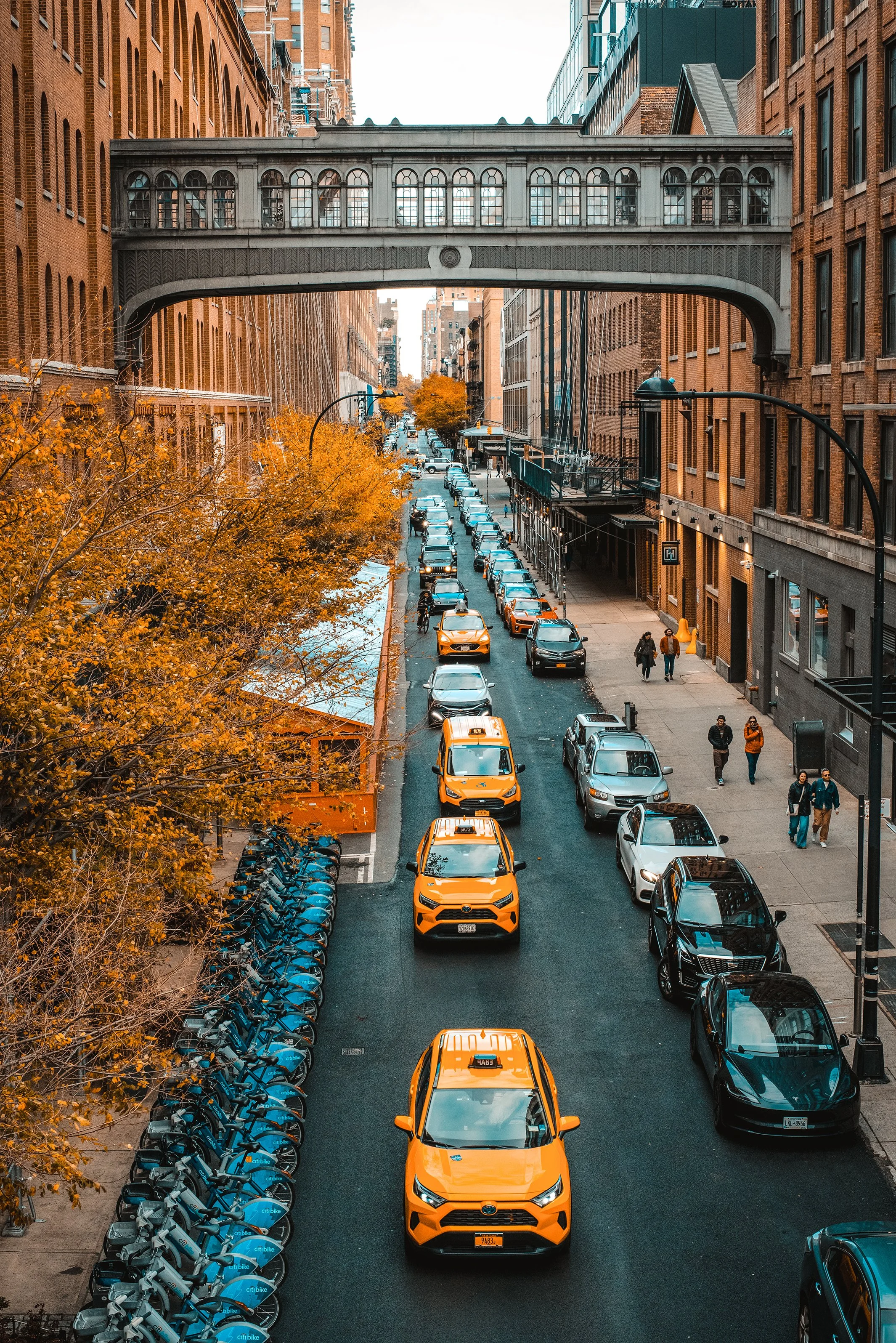 Street scene in an urban area during fall with orange and red trees, parked cars including yellow taxis, bike-sharing stations, and a skywalk connecting buildings.