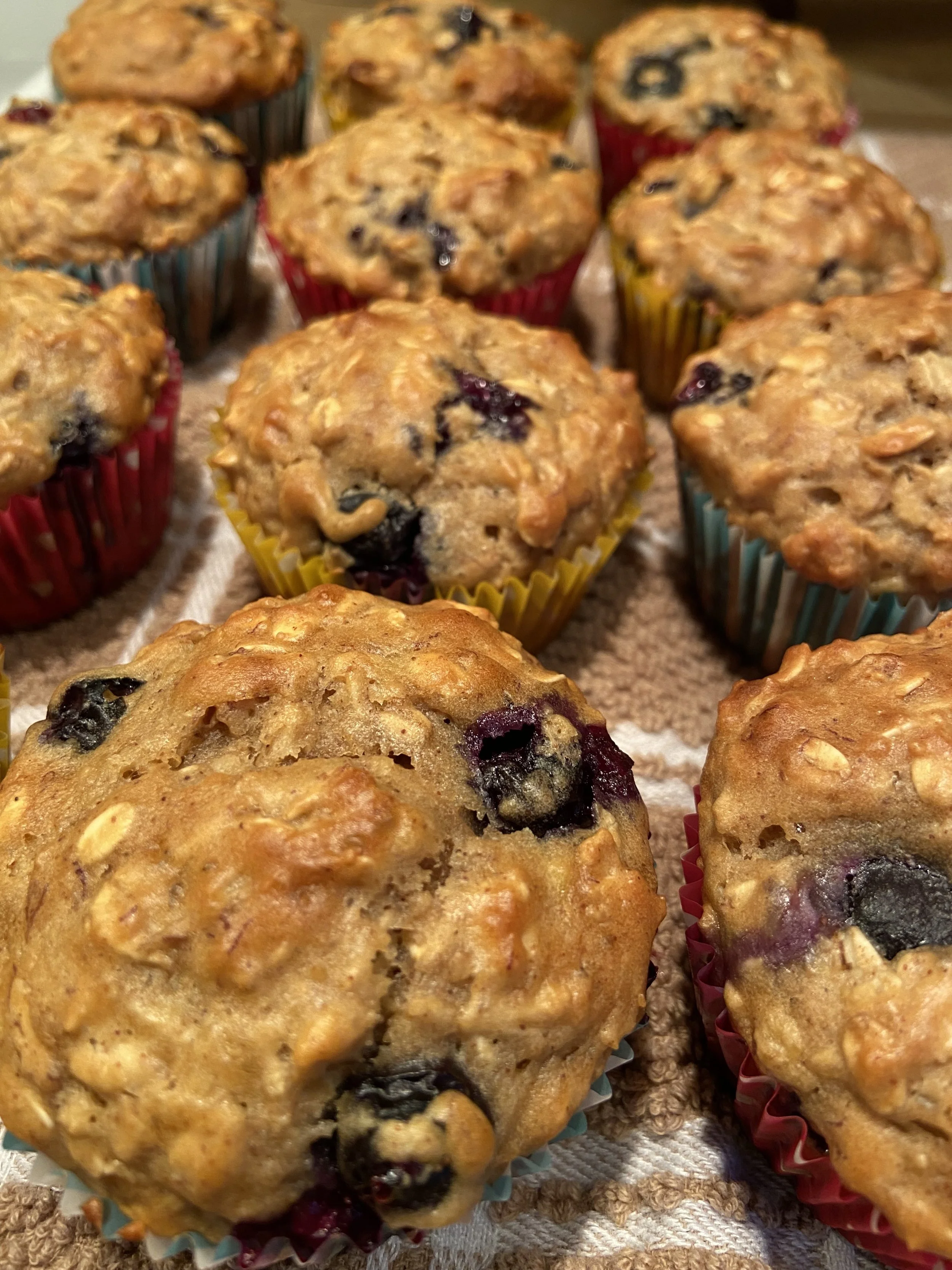 Blueberry Oat Breakfast Muffins