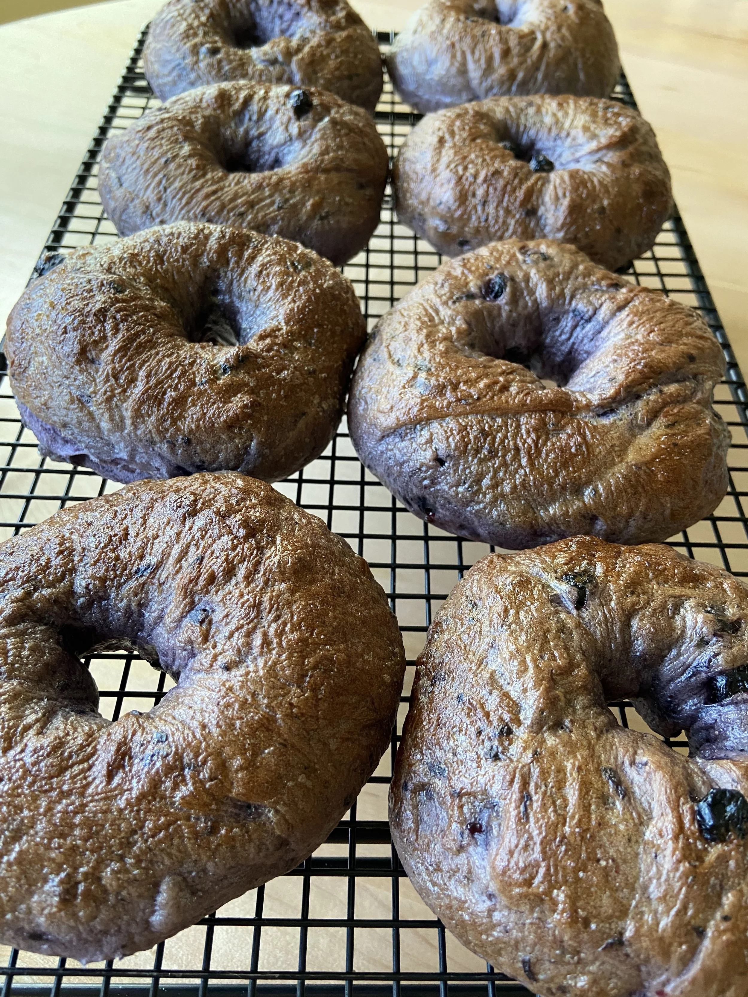 Blueberry Bagels