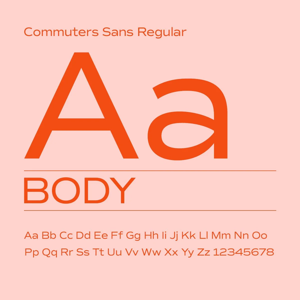 Body.jpg