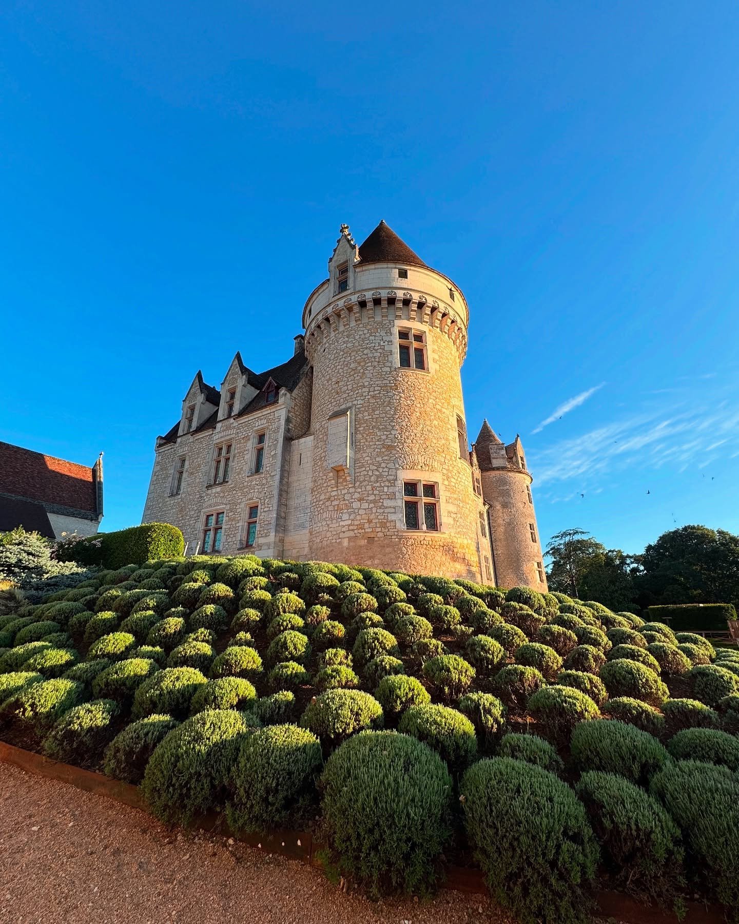 🏰 Le Ch&acirc;teau des Milandes
Ancienne demeure de Jos&eacute;phine Baker, ce lieu embl&eacute;matique du P&eacute;rigord noir, construit en 1489, incarne &agrave; la fois charme architectural et m&eacute;moire vivante.

C&rsquo;est ici que Jos&eac