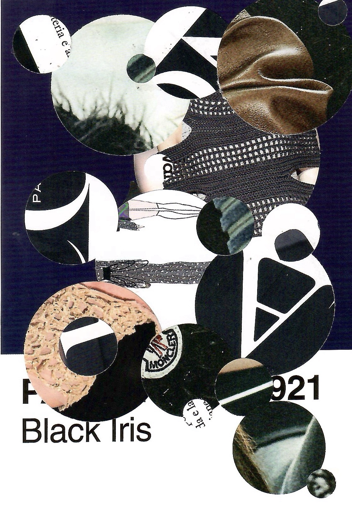Pantone Postcard Collage: Black Iris Fashion