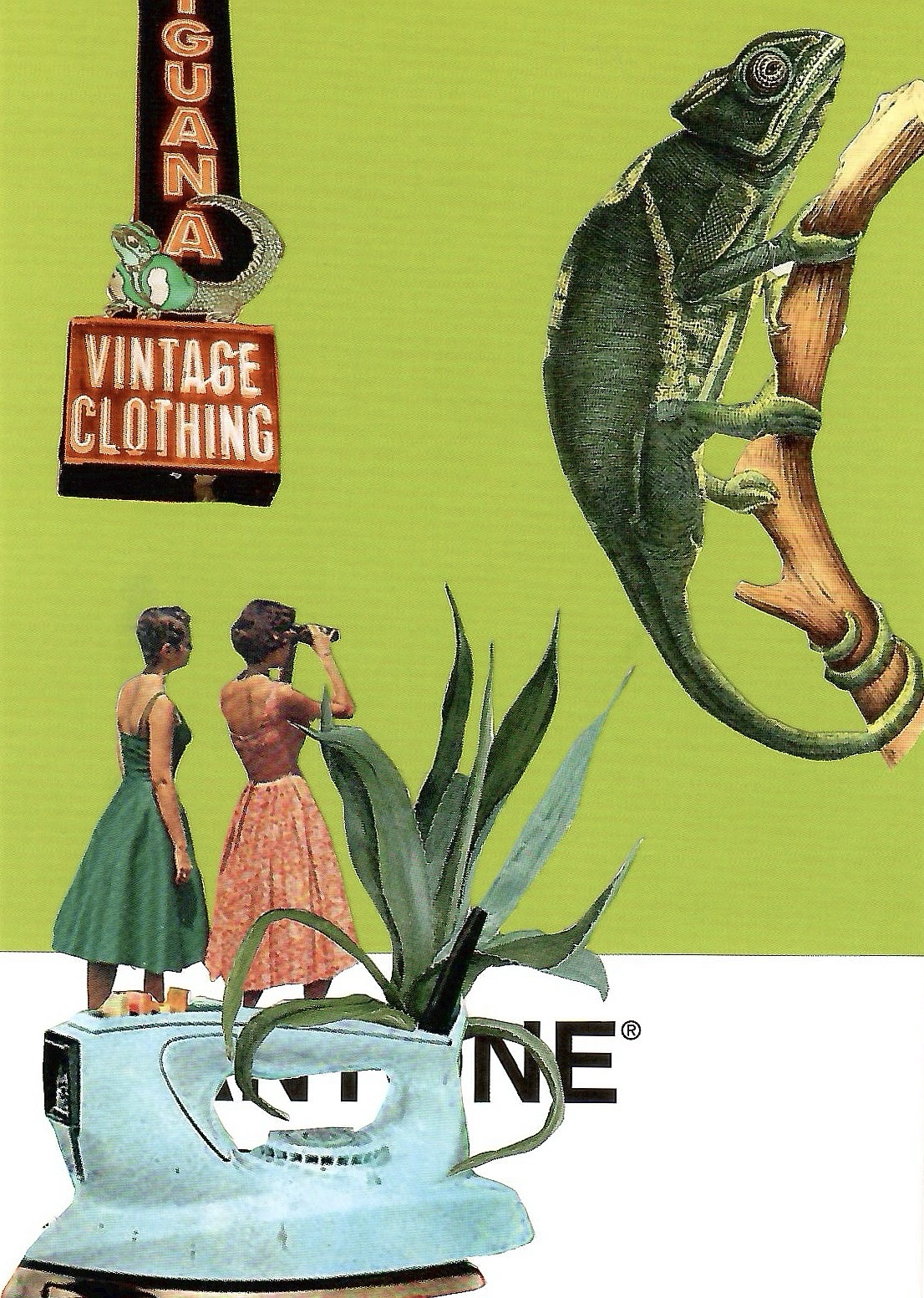 Pantone Postcard Collage: Lizard Watching