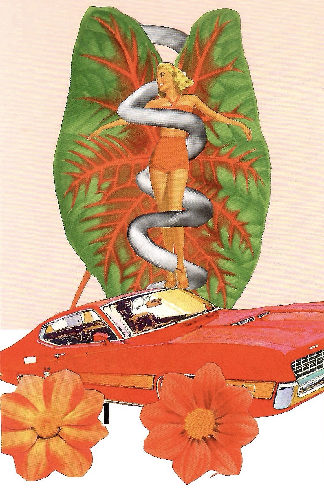 Pantone Postcard Collage: Wheels Of Beauty