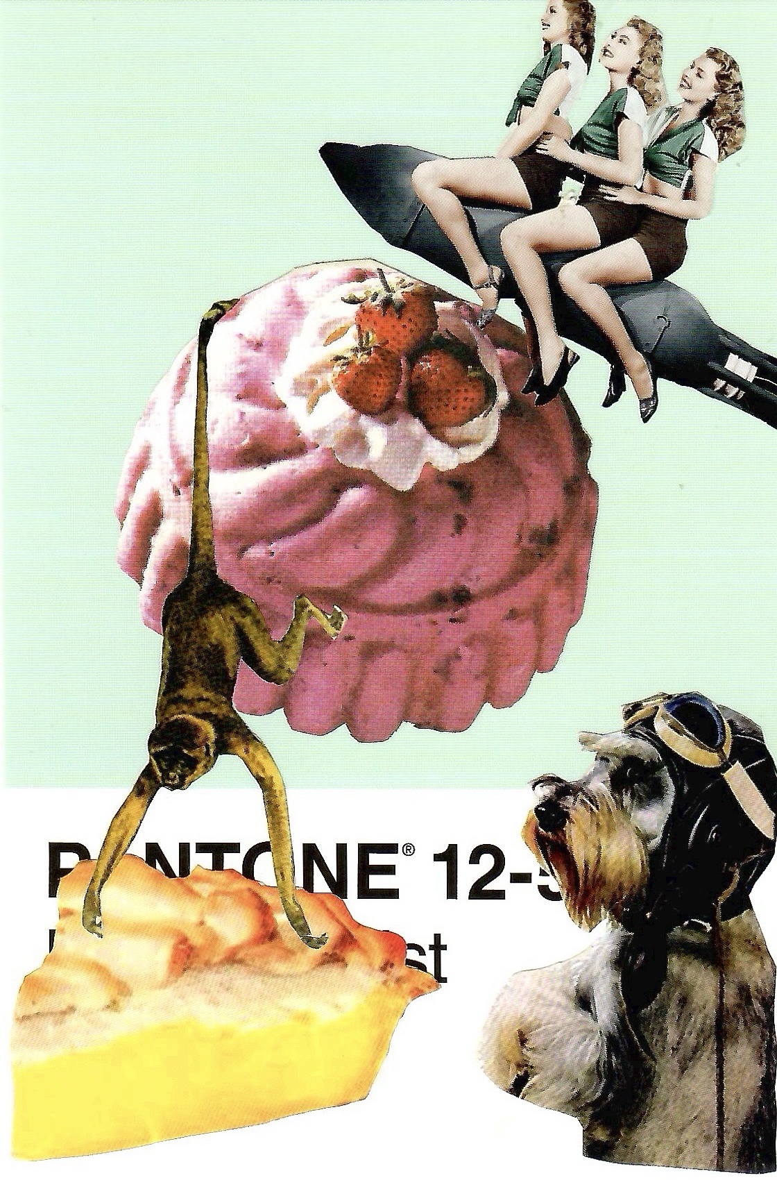 Pantone Collage: Over the Dessert Moon