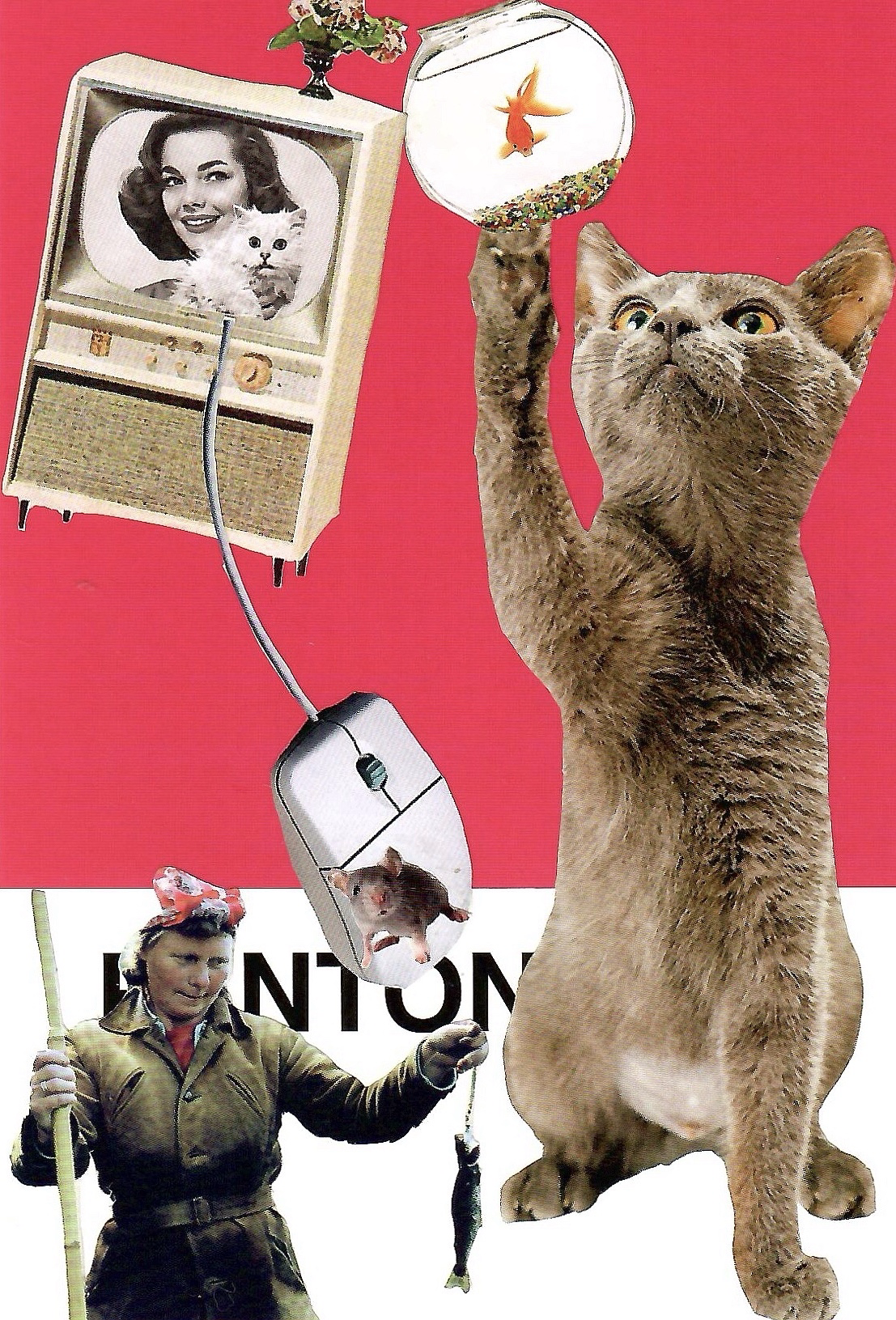 Pantone Postcard Collage: Cat Phishing