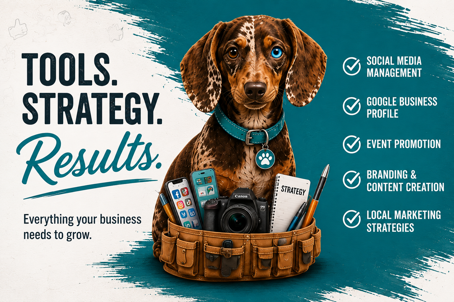 A promotional graphic featuring a brown dog with one blue eye and one brown eye, wearing a blue collar with a paw print tag. The dog is sitting inside a tool belt filled with a smartphone, camera, pens, and a notebook labeled 'Strategy.' The background has a blue brushstroke design. Text on the left reads 'Tools. Strategy. Results.' and 'Everything your business needs to grow.' On the right, there are five check-marked items: 'Social Media Management,' 'Google Business Profile,' 'Event Promotion,' 'Branding & Content Creation,' and 'Local Marketing Strategies.'