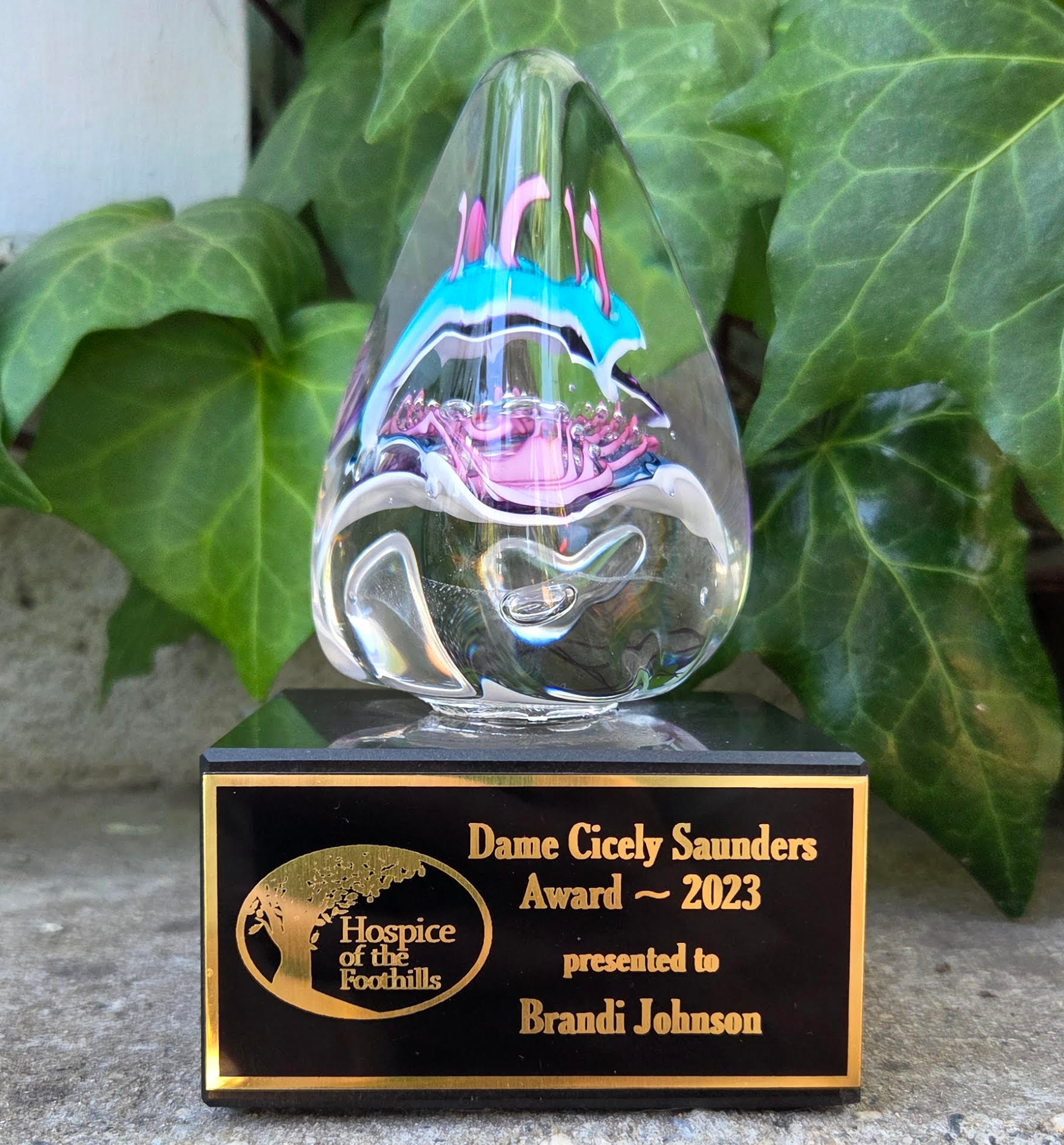 Brandi Johnson is a Dame Cicely Saunders Award Winner