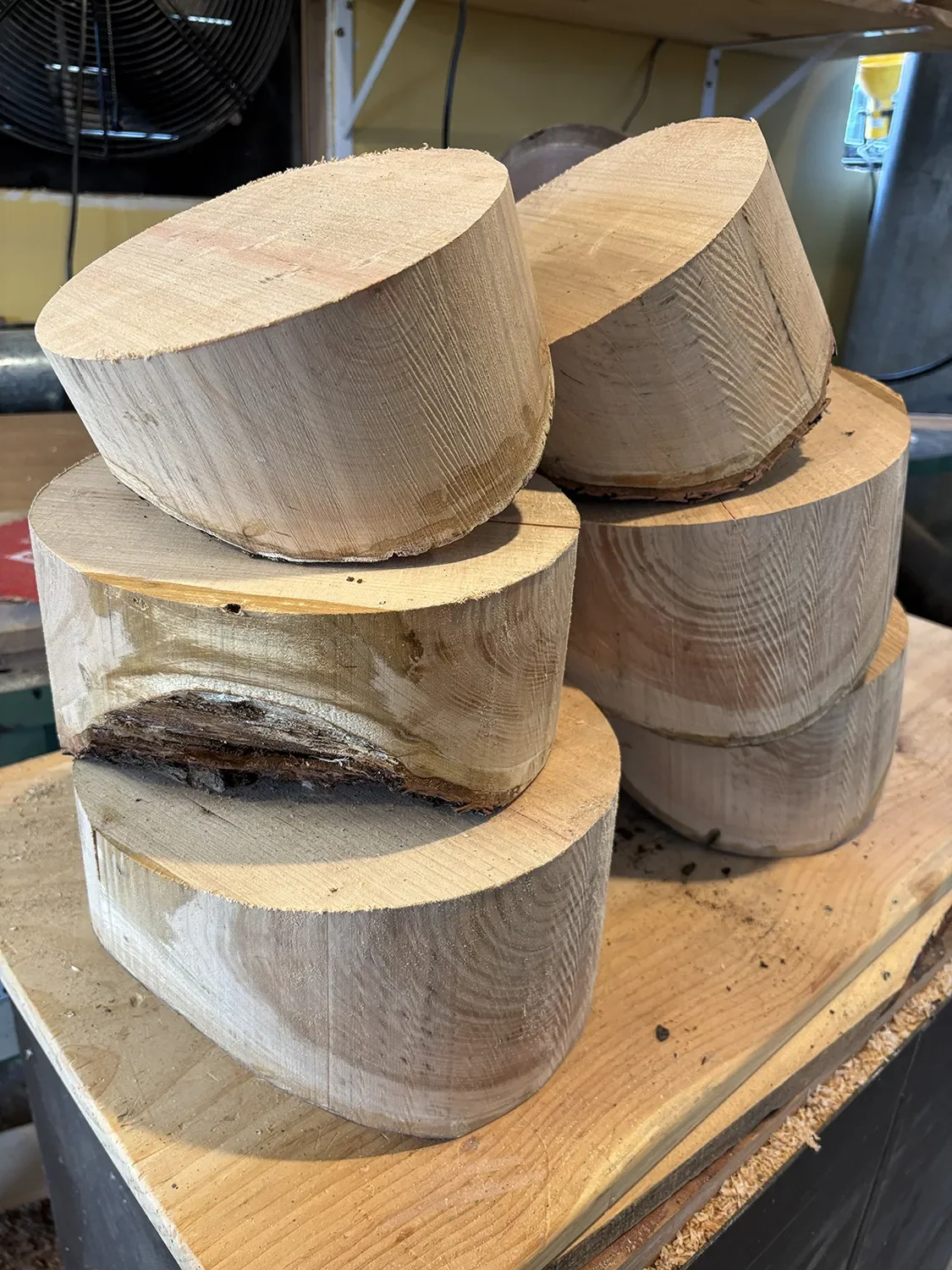 Sawdust and Lint Process Photos (23).webp