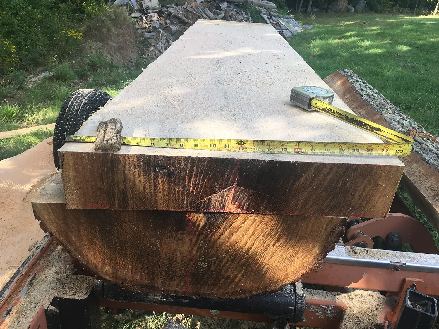 Sawdust and Lint Materials and Equipment (23).webp