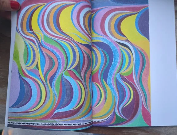 Spread of Ants, a 2025 artist book of paintings by Chris Johanson, published by Nieves. Soft-cover, 14 × 20 cm.