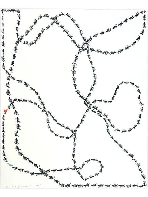 Chris Johanson — 