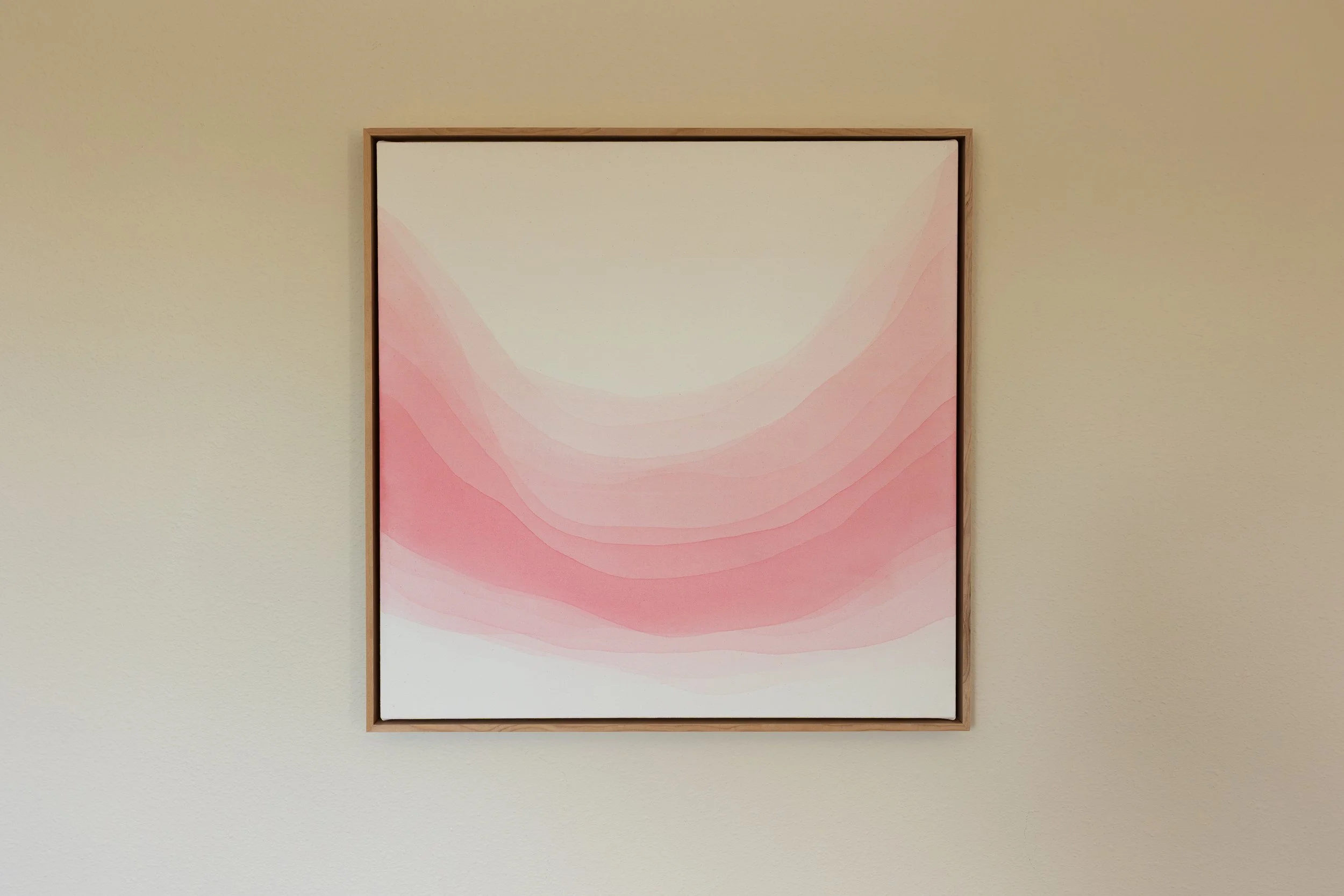 Safe Harbor | 20x20