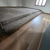 Part of a room showing hardwood floor, a carpeted area, and a window with light coming through.