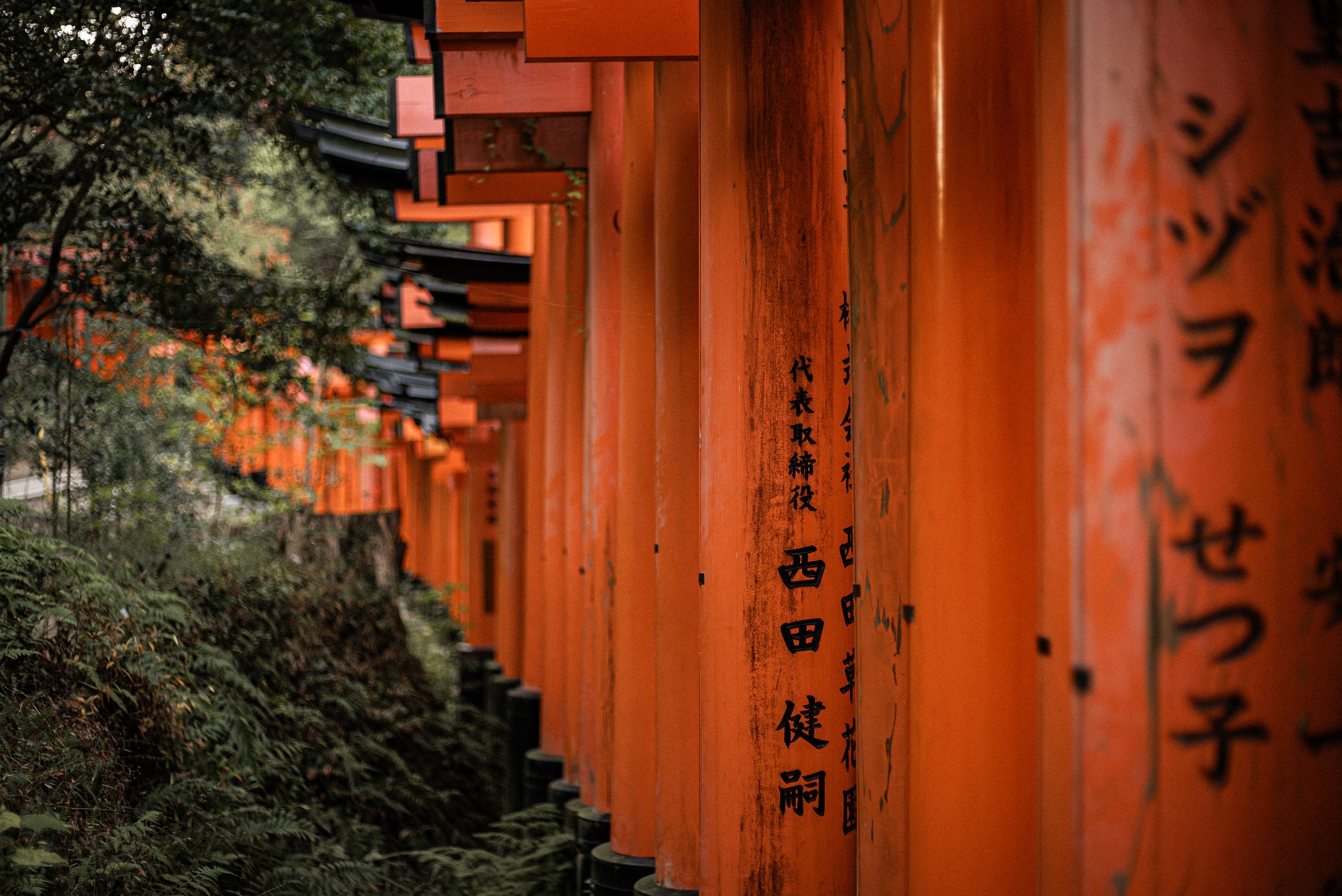 A row of bright orange torii gates with Japanese inscriptions, set in a forested area.