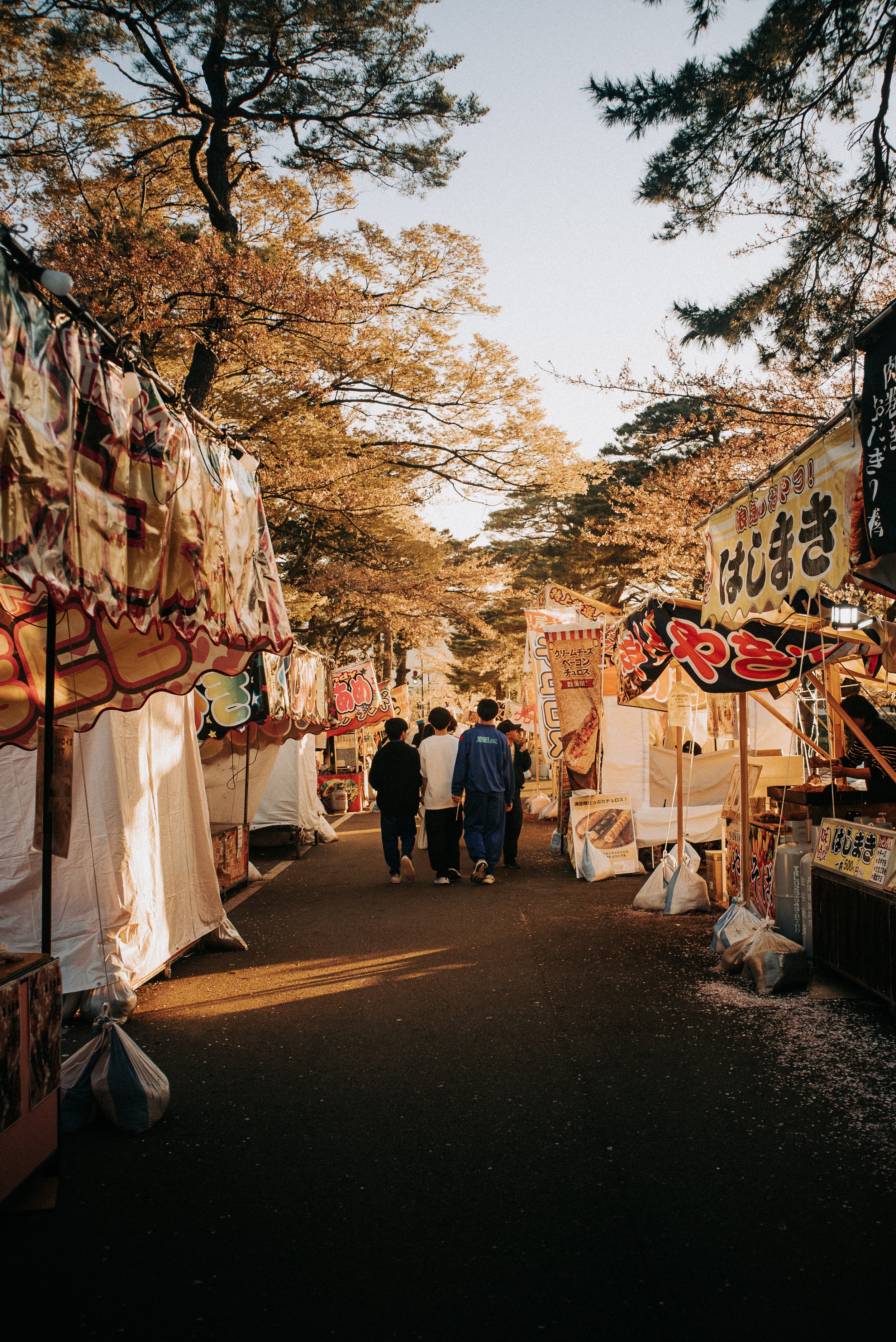 People walking through a outdoor market with stalls on both sides, surrounded by trees with autumn foliage, during late afternoon or early evening sunlight.