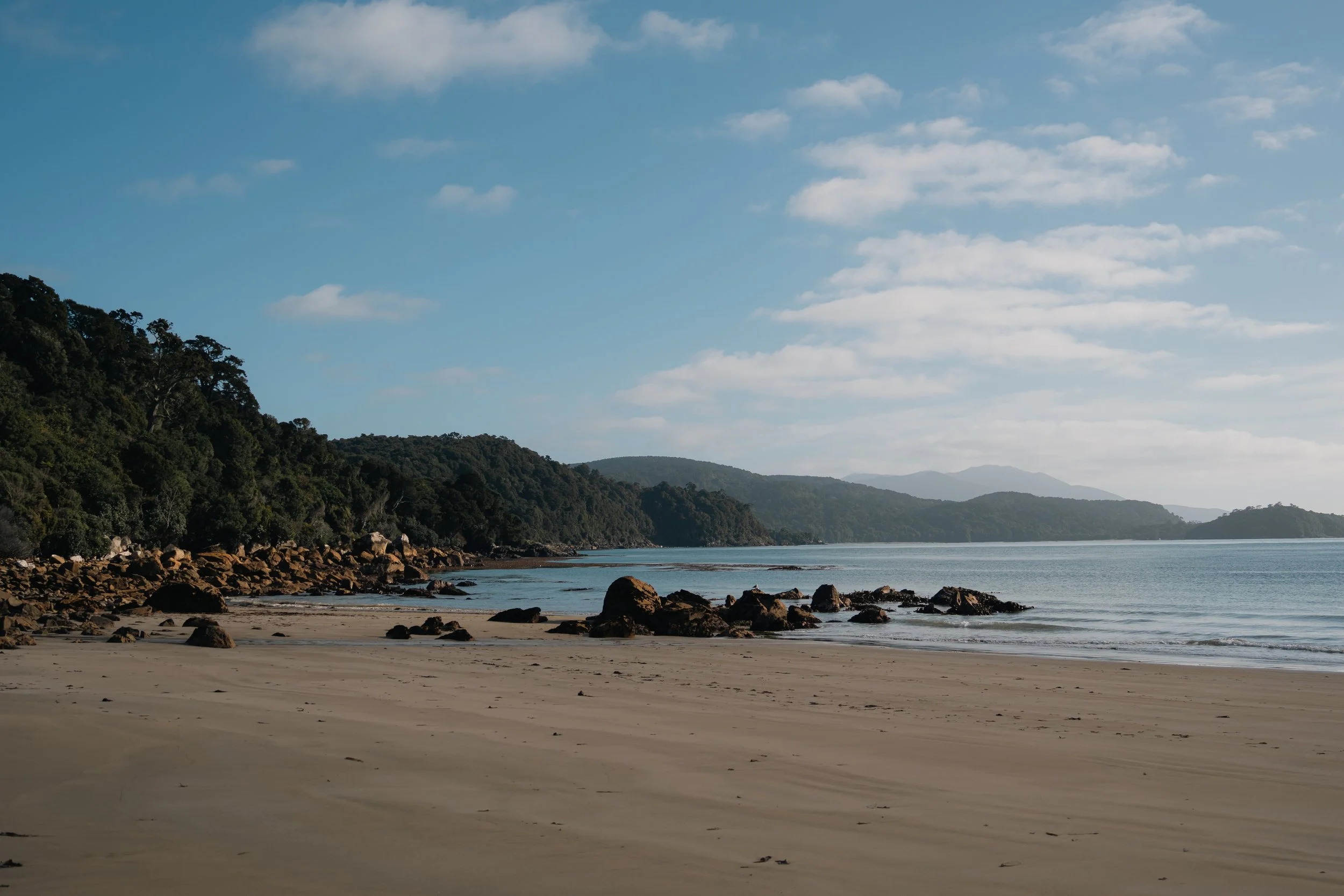 DSC00209-3.jpg