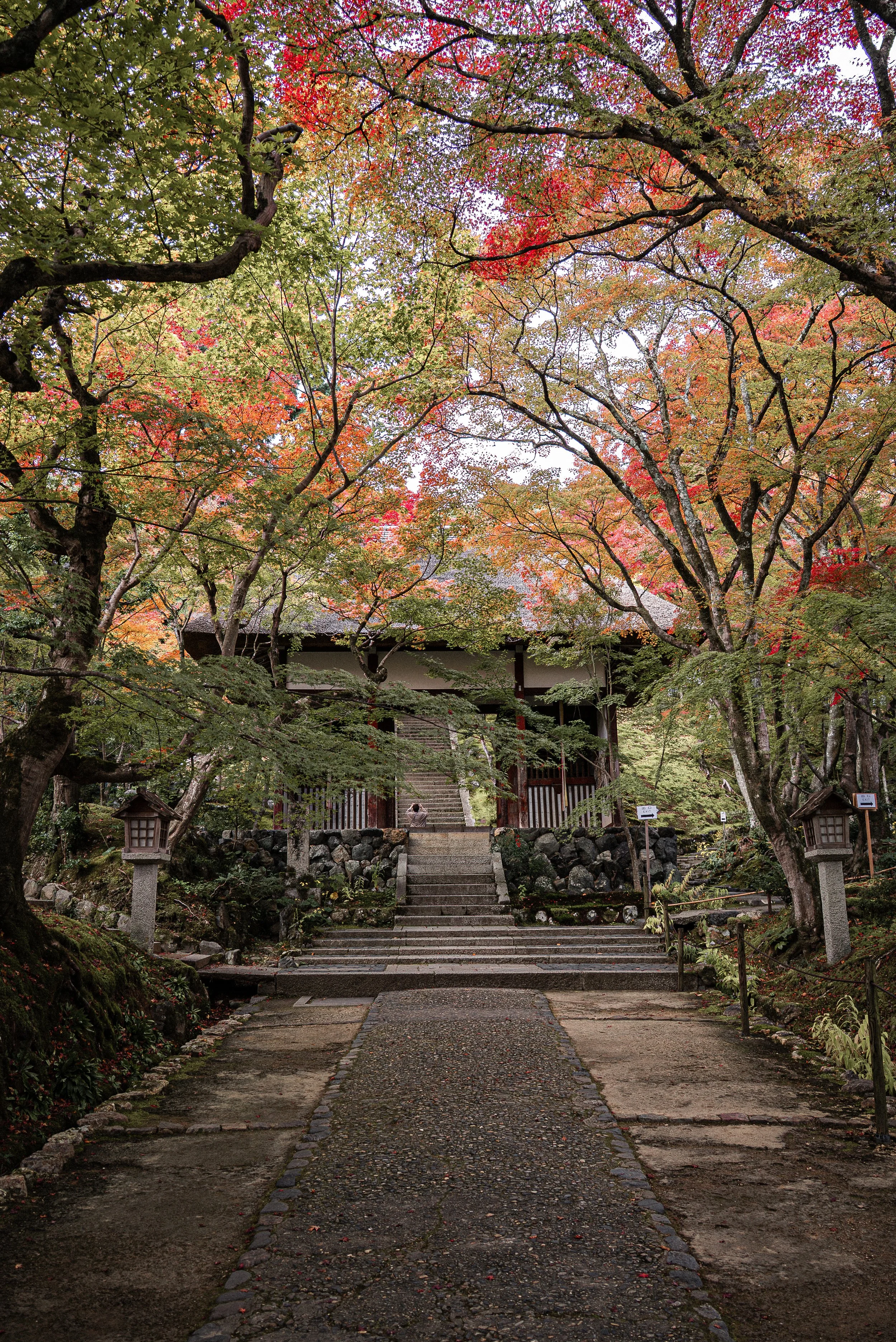 Pathway with stone steps leading to a traditional Japanese wooden shrine or temple, surrounded by trees with colorful autumn leaves and lanterns on stone posts.