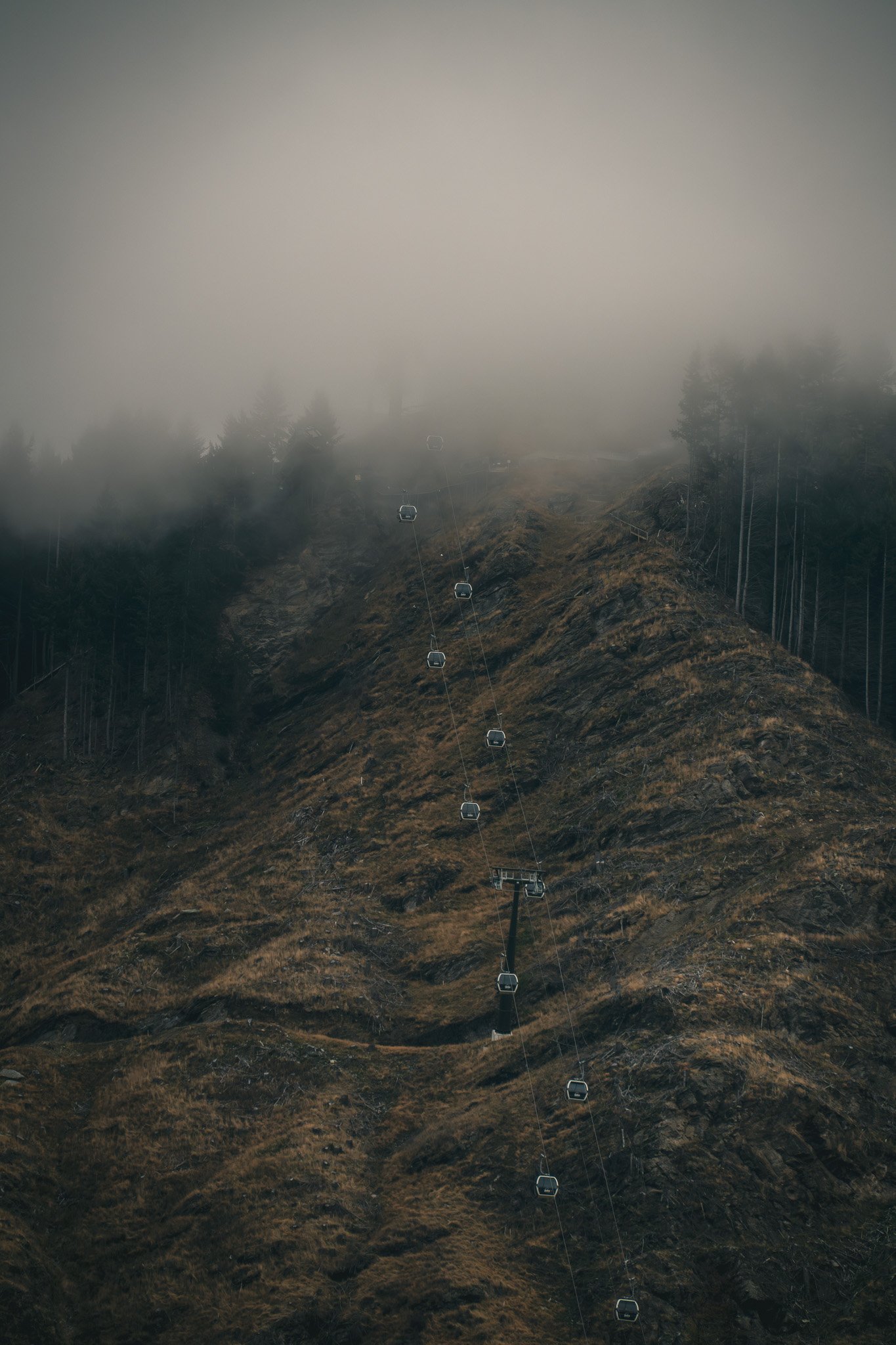 Foggy mountain landscape with ski lift chairs ascending a hillside covered in brown and dark green vegetation, and a few tall pine trees, with cloudy sky above.