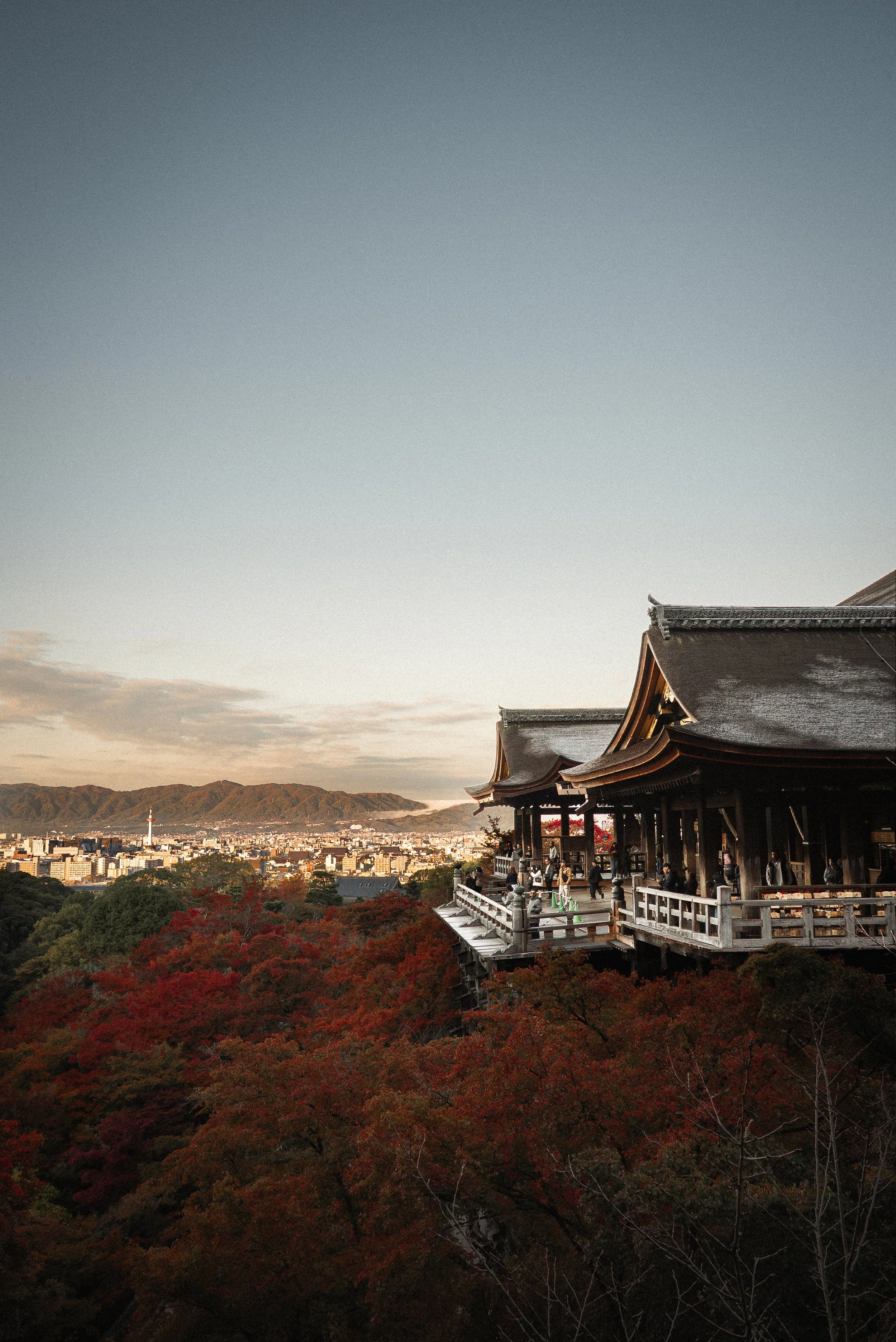 Traditional Japanese temple with a wooden veranda and a large roof, surrounded by autumn trees with red leaves, overlooking a cityscape and distant mountains during sunset.
