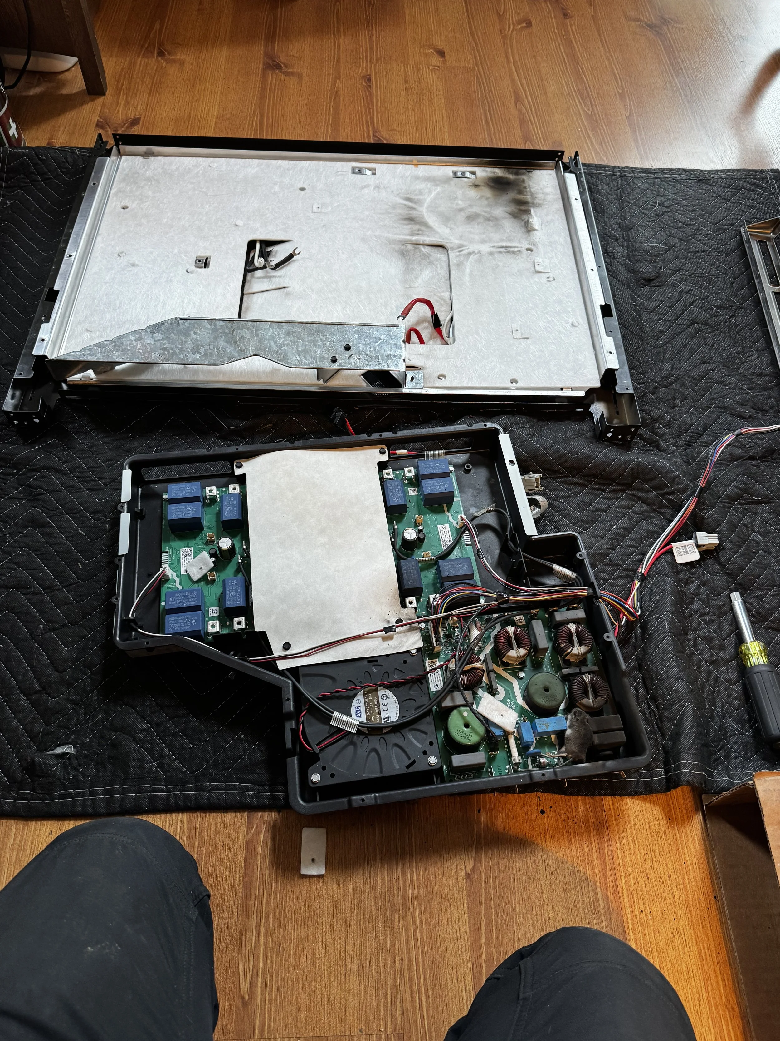 Mouse Trouble on Induction Range2.jpeg