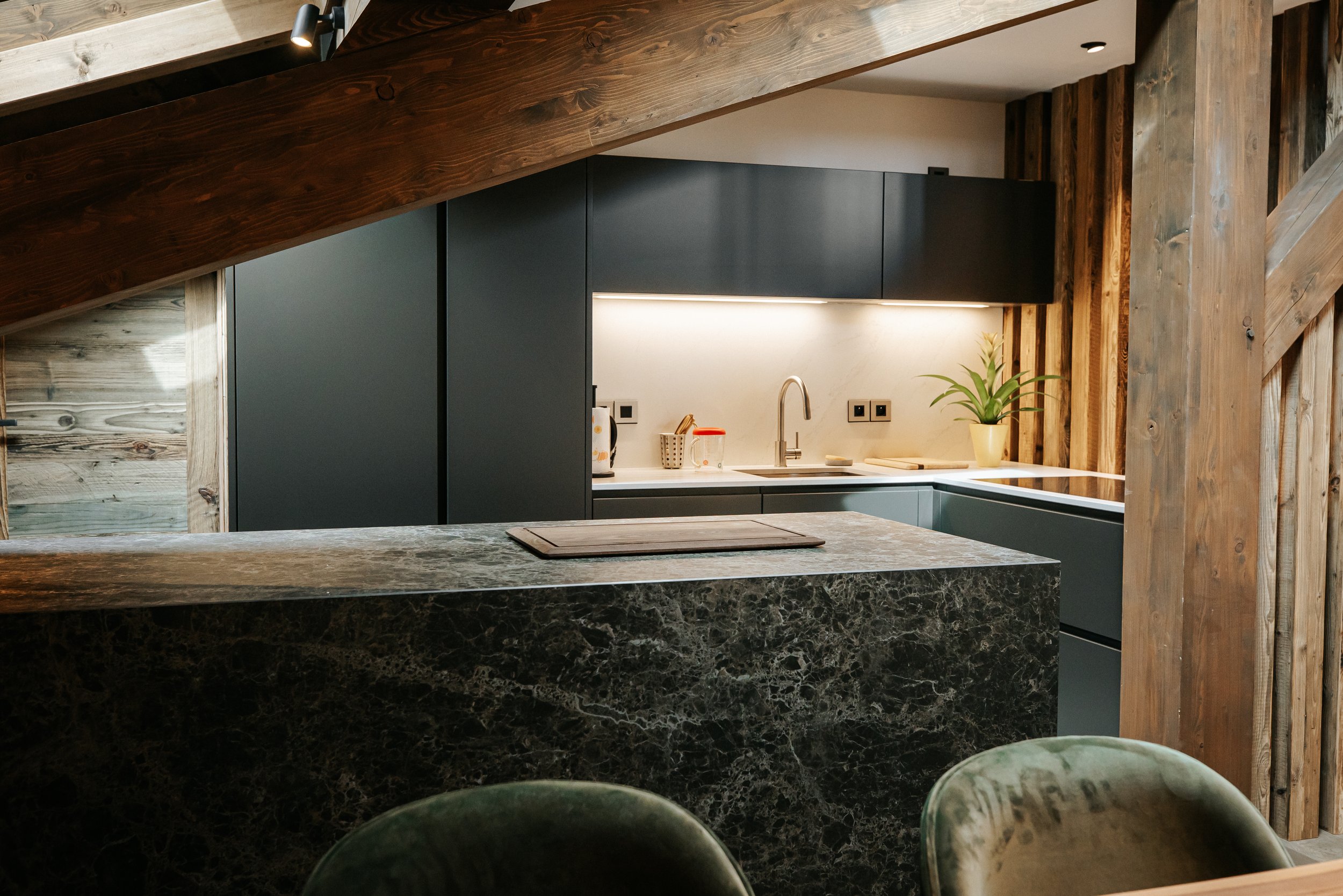Modern kitchen with dark cabinets, a granite countertop, wood paneling, and a potted plant on the counter.
