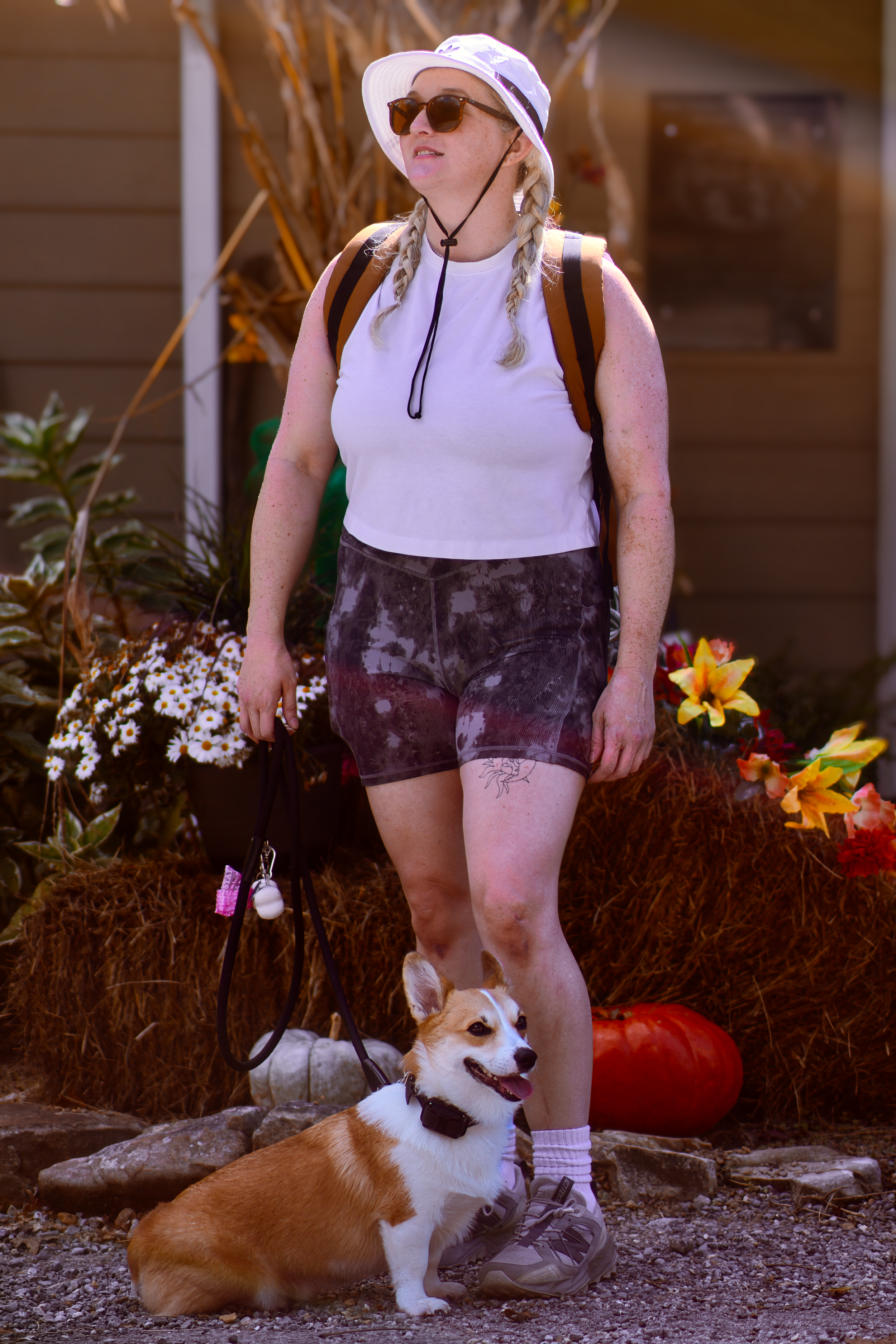 Corgi On A Hike.png