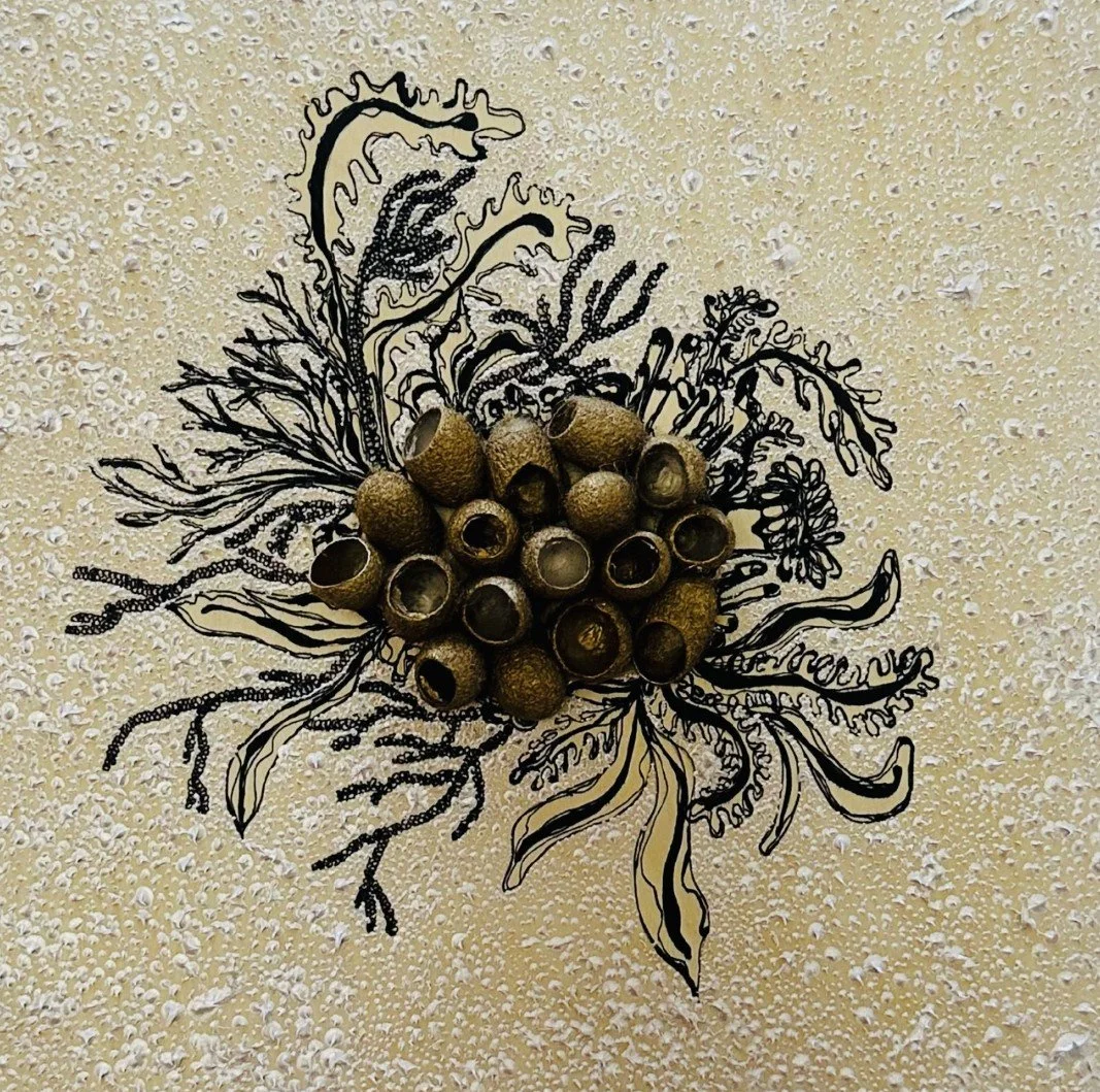 Sea Garden