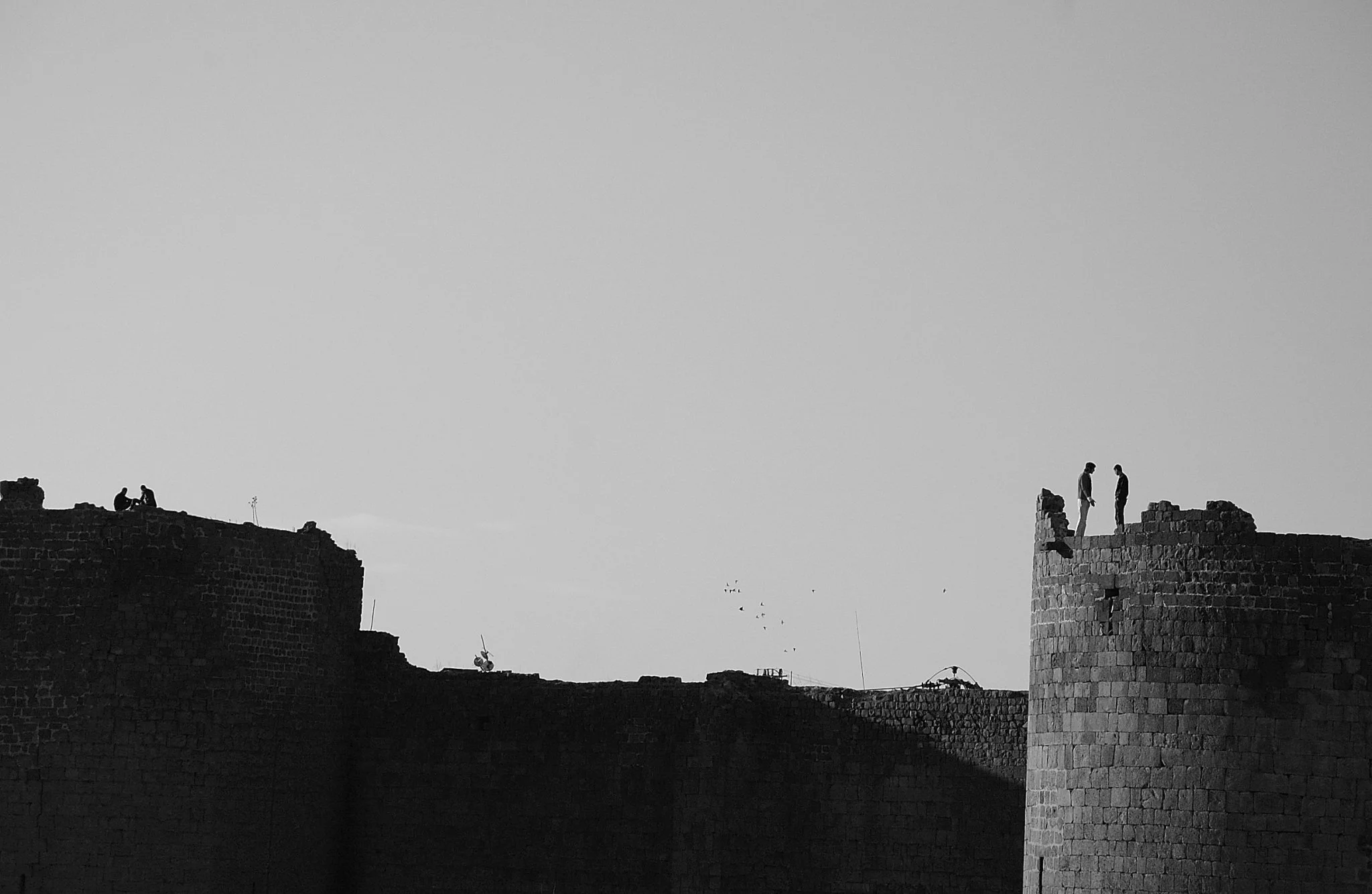 DSC_3206 (1).jpg