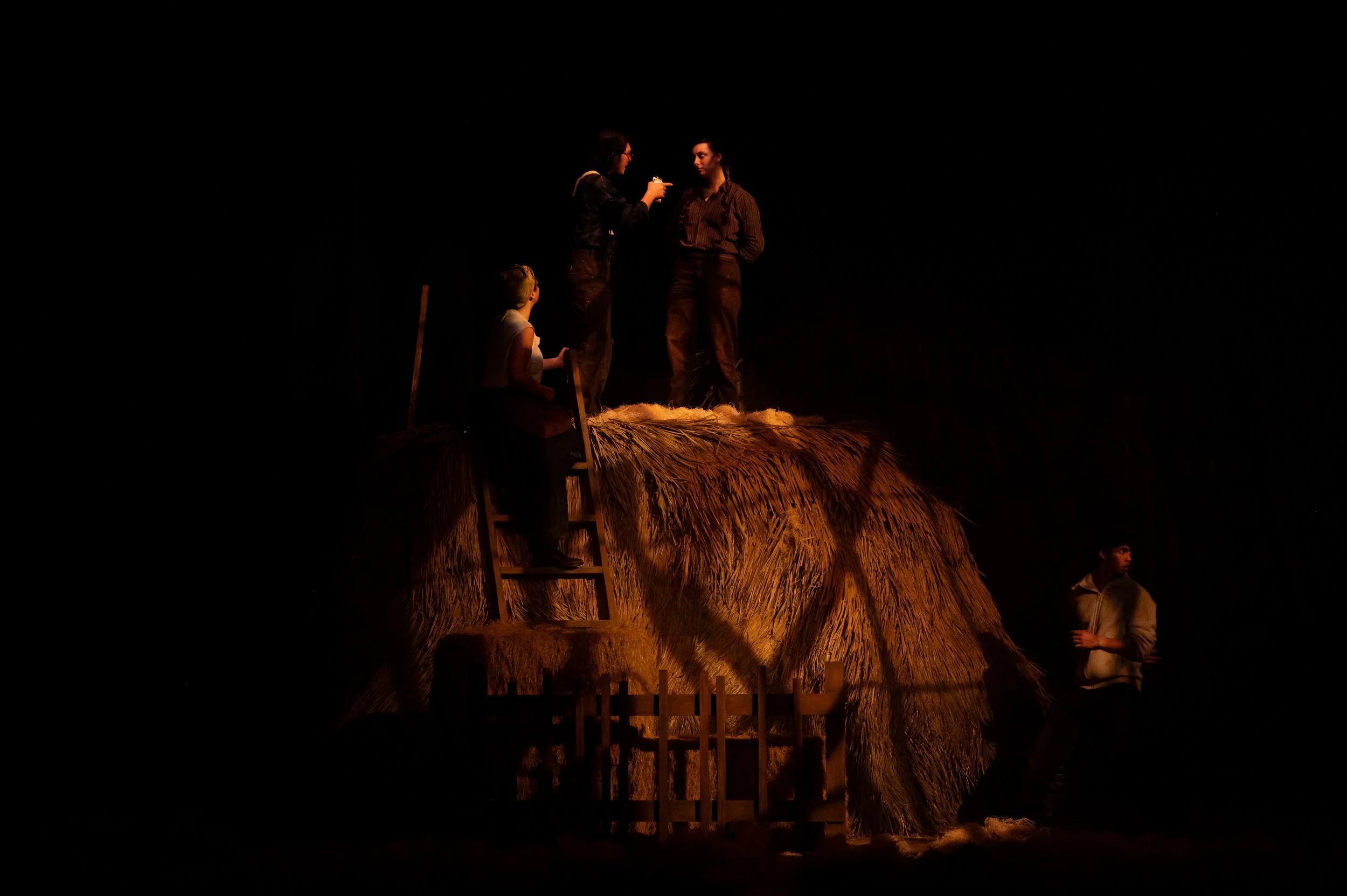 Animal Farm_Production Photos_Feb 2026_0171 copy.jpg