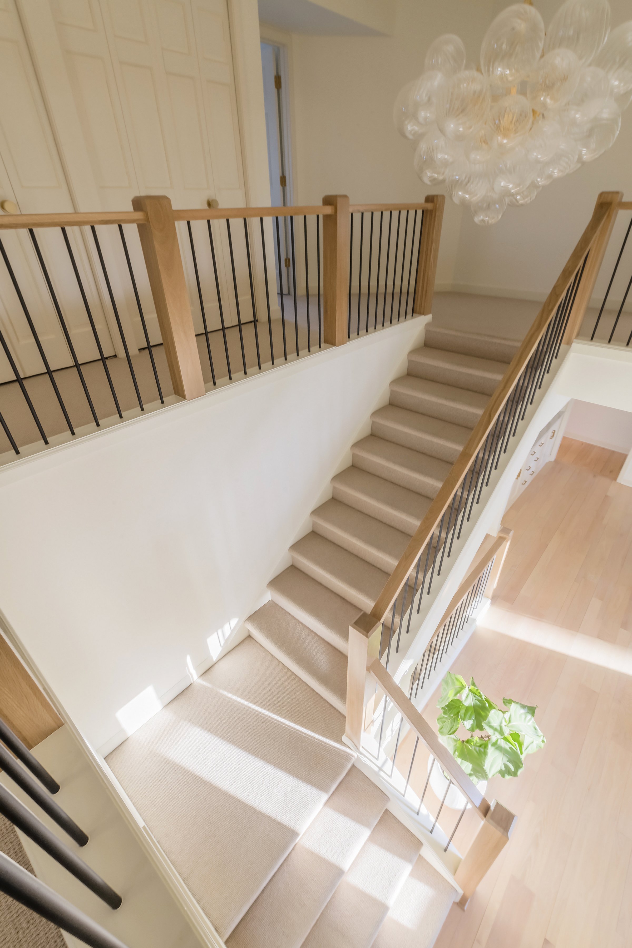 Large staircase remodel, with beige carpeting, wooden handrails, and a glass bubble chandelier hanging above. A potted plant with green leaves is at the bottom of the stairs.