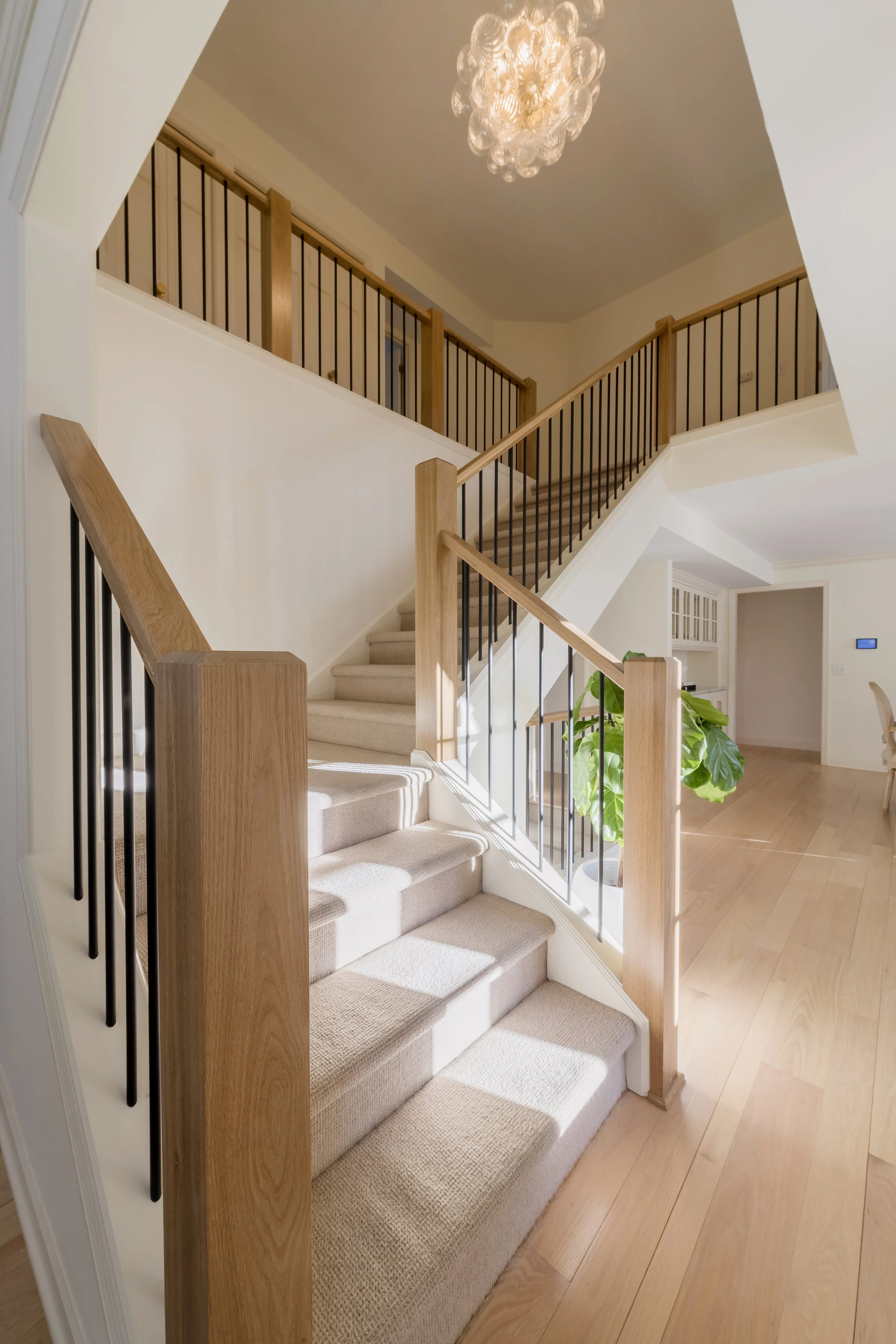 A staircase with beige carpeting, wooden handrails, and black metal balusters leading to an upstairs area with wooden railings. There is a large green leafy plant at the bottom of the stairs and a modern ceiling light fixture above.